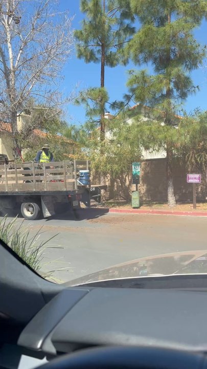 Ecology Care - You can't teach common sense. - Landscaping Near Me - El Cajon, California
