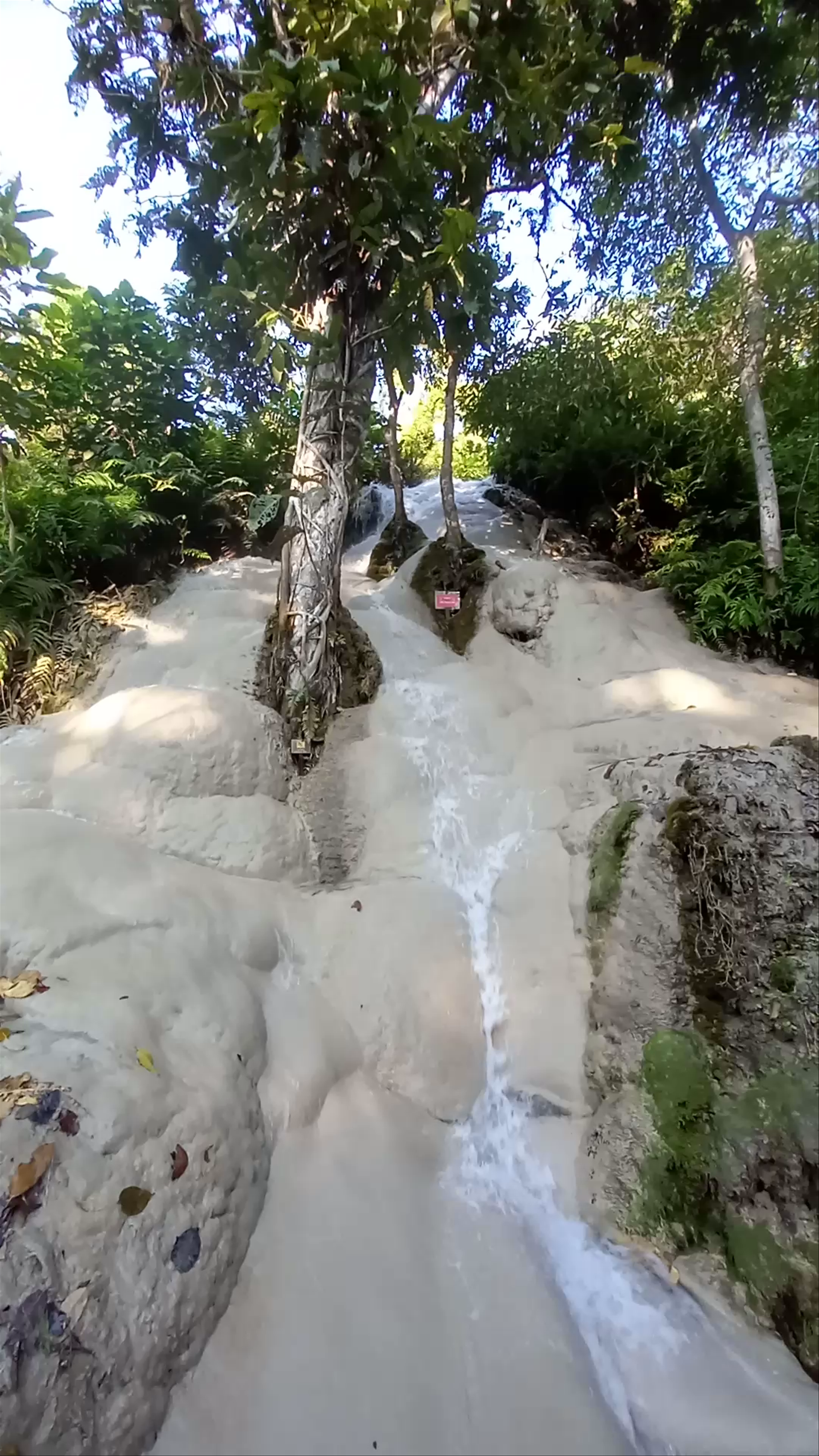 Namtok Bua Thong: The Enchanting Sticky Waterfall Adventure in Chiang Mai
