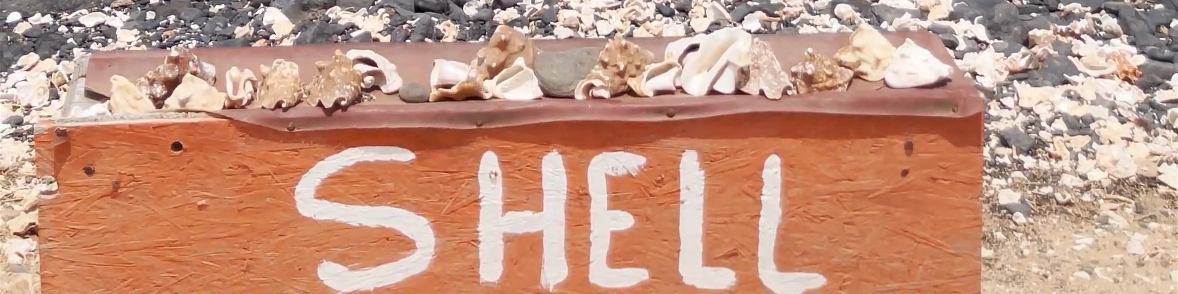 Shell Cemetery Beach