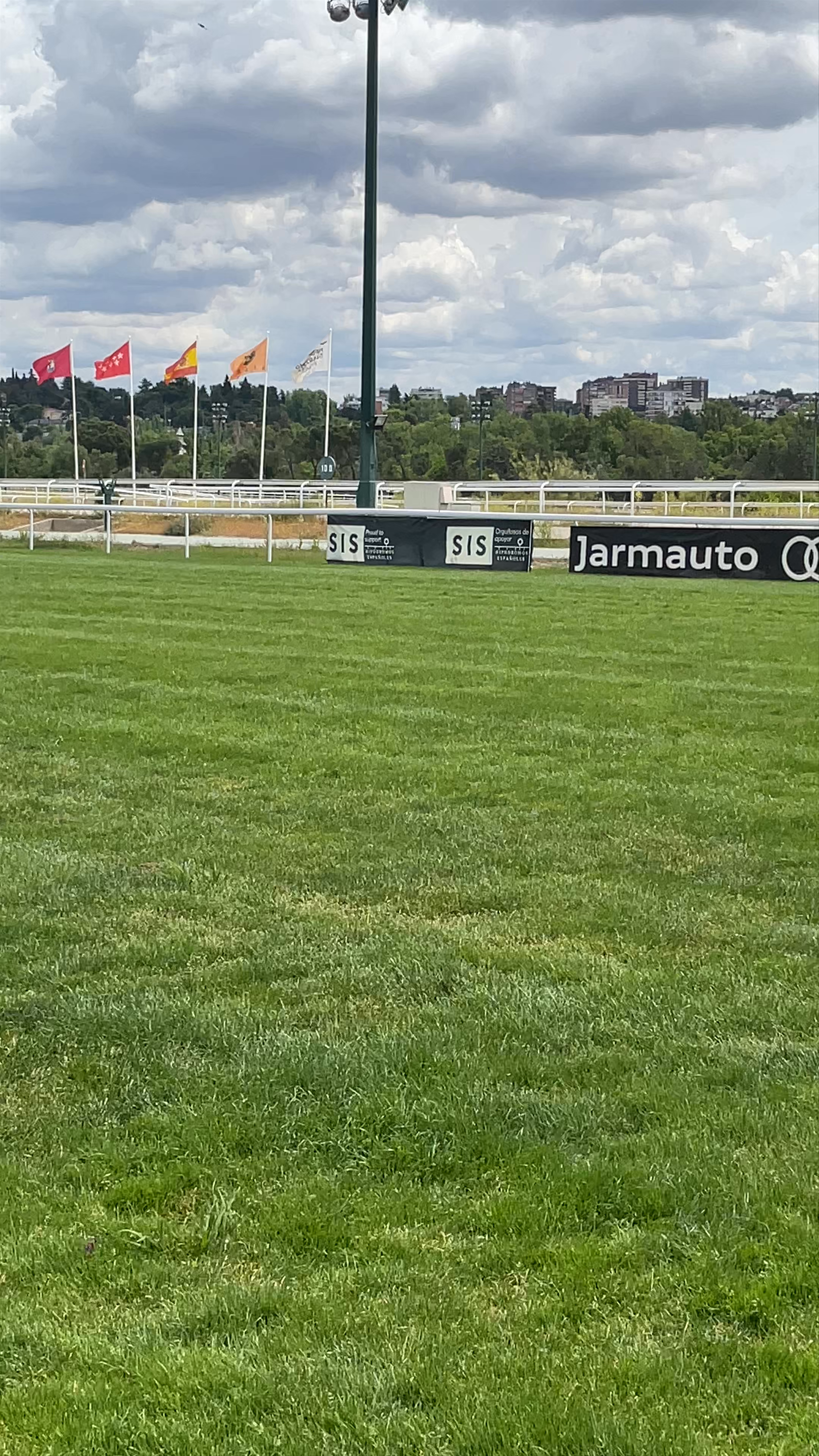 Thrilling Horse Racing at Hipódromo de la Zarzuela, Madrid