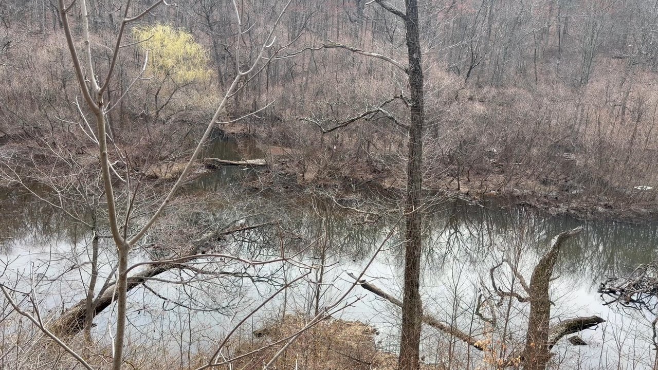Watchung Reservation - View of Seeley Pond from the gazebo!! - Parks Near Me - Mountainside, New Jersey