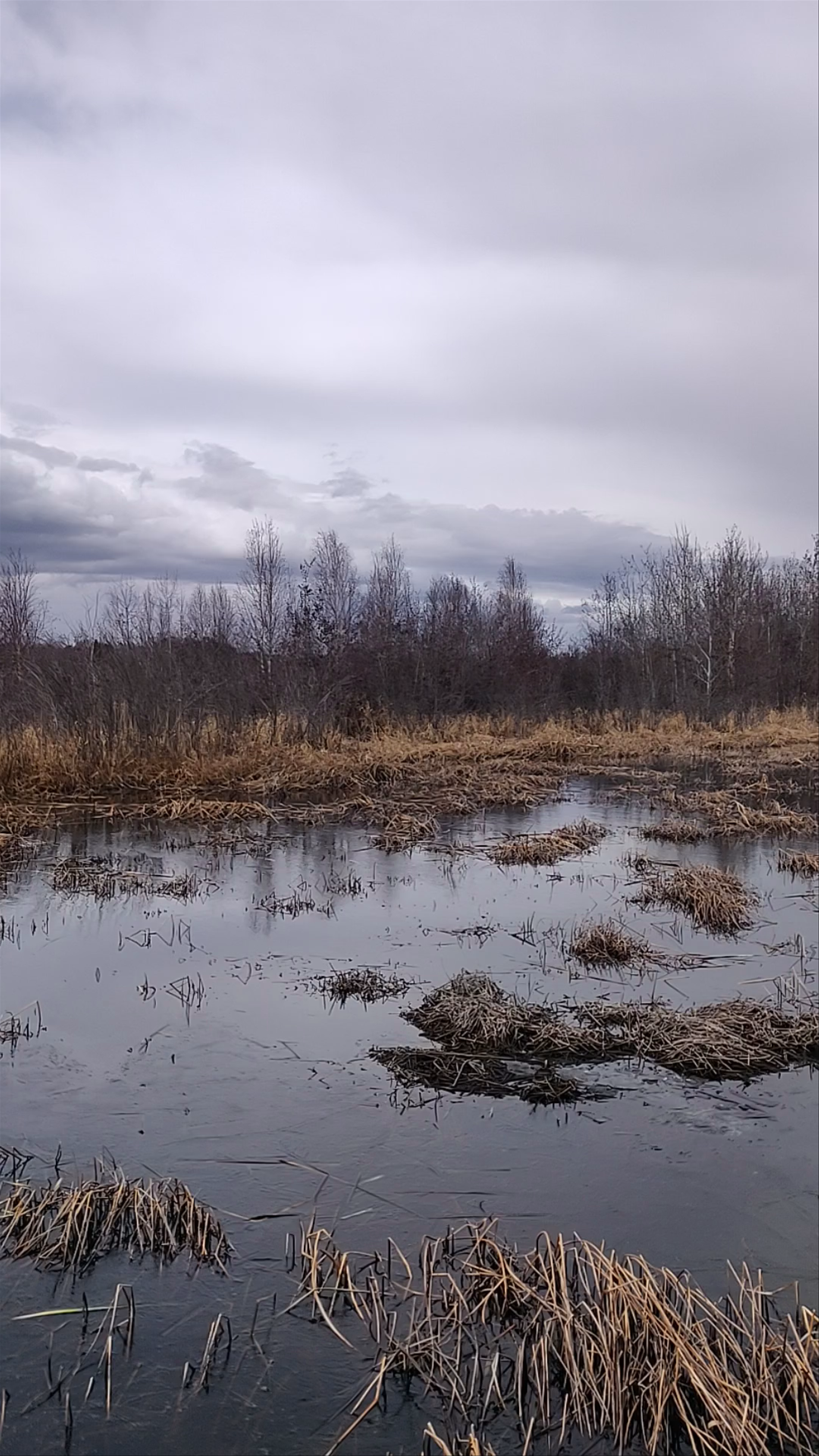 Clifford E. Lee Nature Sanctuary