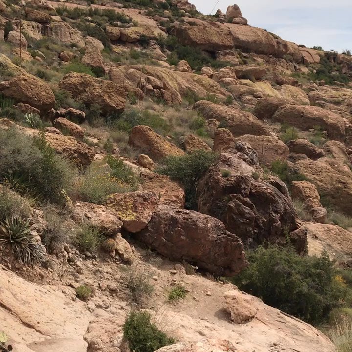 Peralta Trails - I could get used to this scenery (just kidding, it's az & effin hot most of the year) - Hiking Near Me - Gold Canyon, Arizona