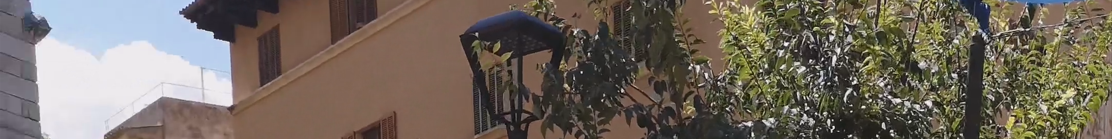 Tours & experiences in Sóller