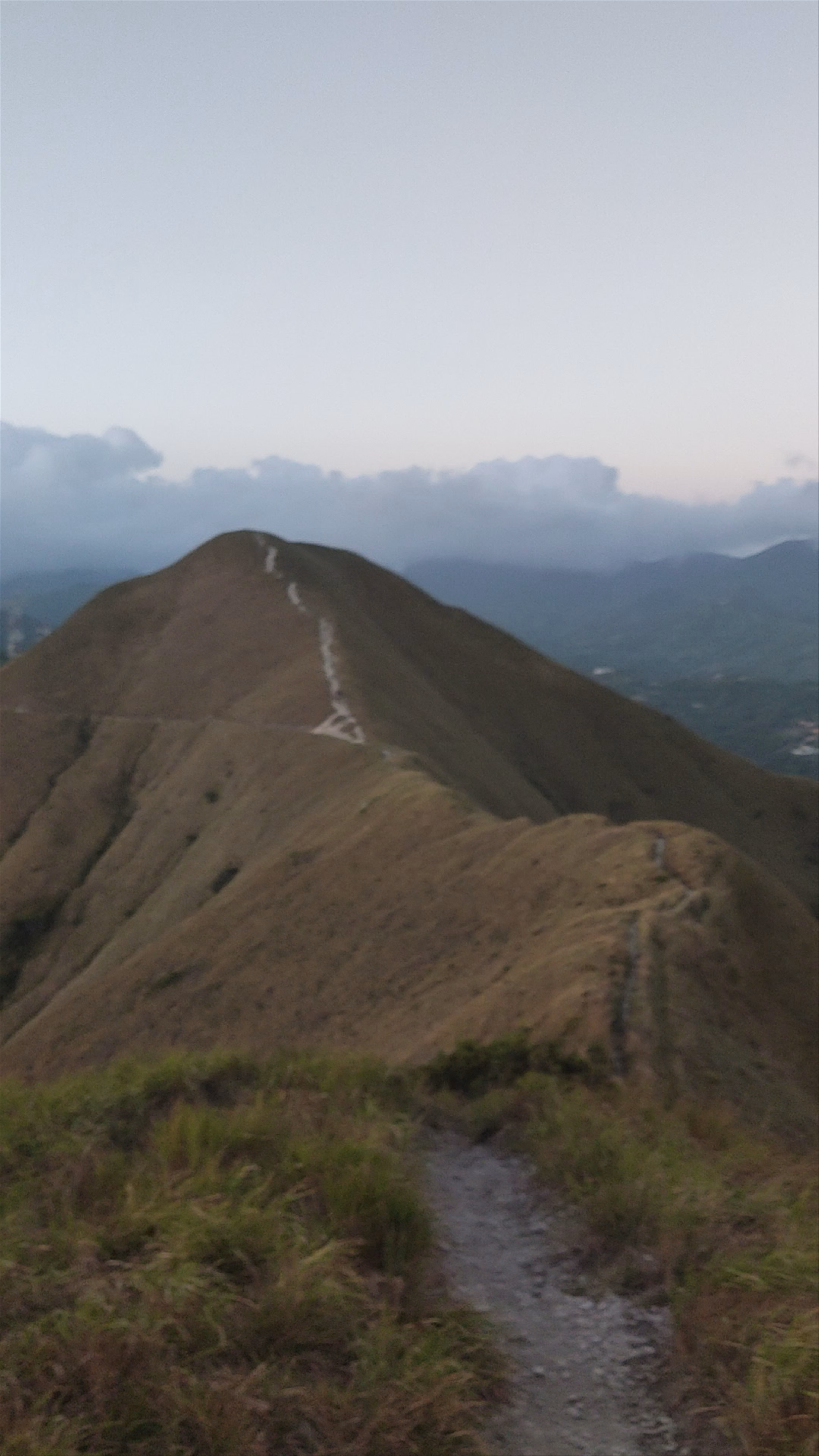 Cerro La Silla (Cruz)