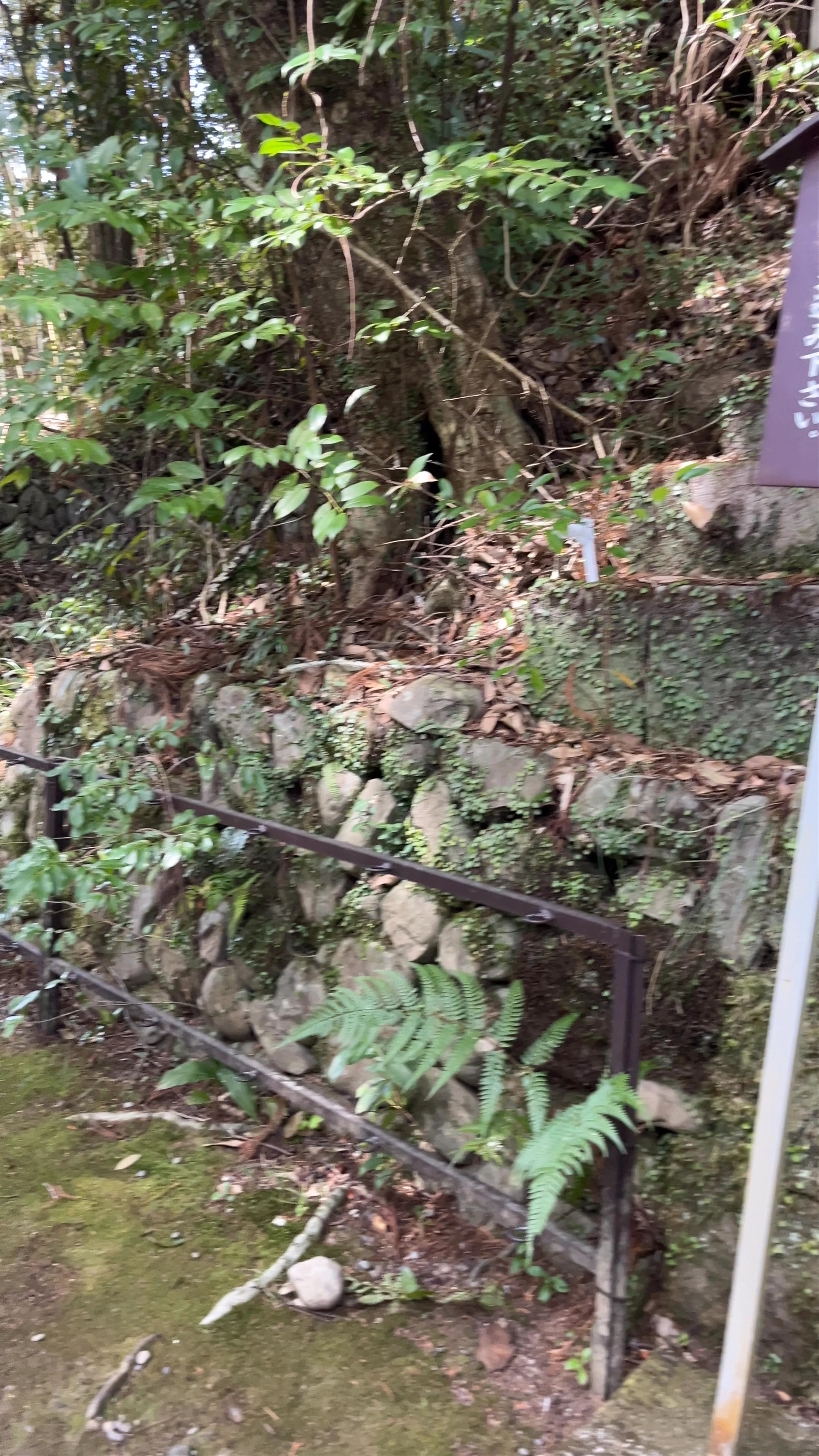 Tanabe Stone Shrine