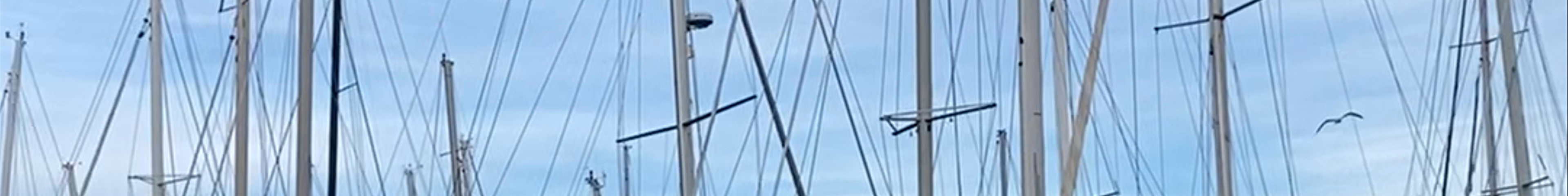 Tours & experiences in Port-Saint-Louis-du-Rhône