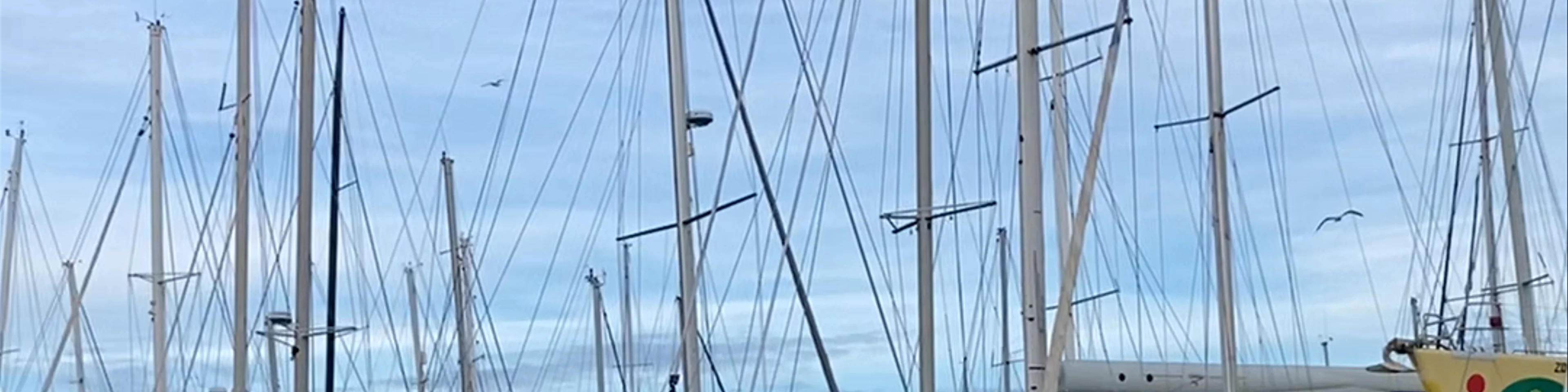 Port Napoléon