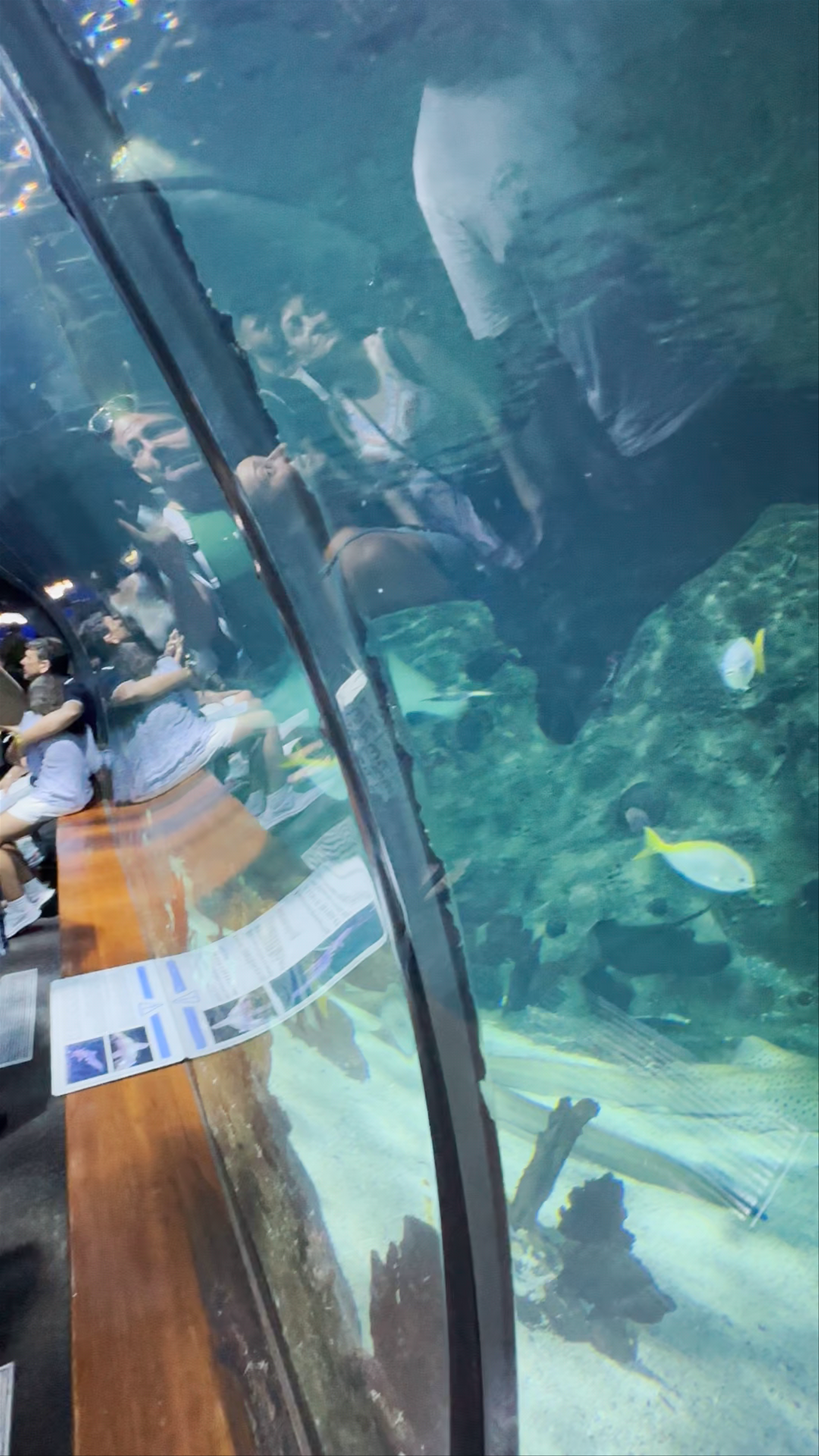 Acuario