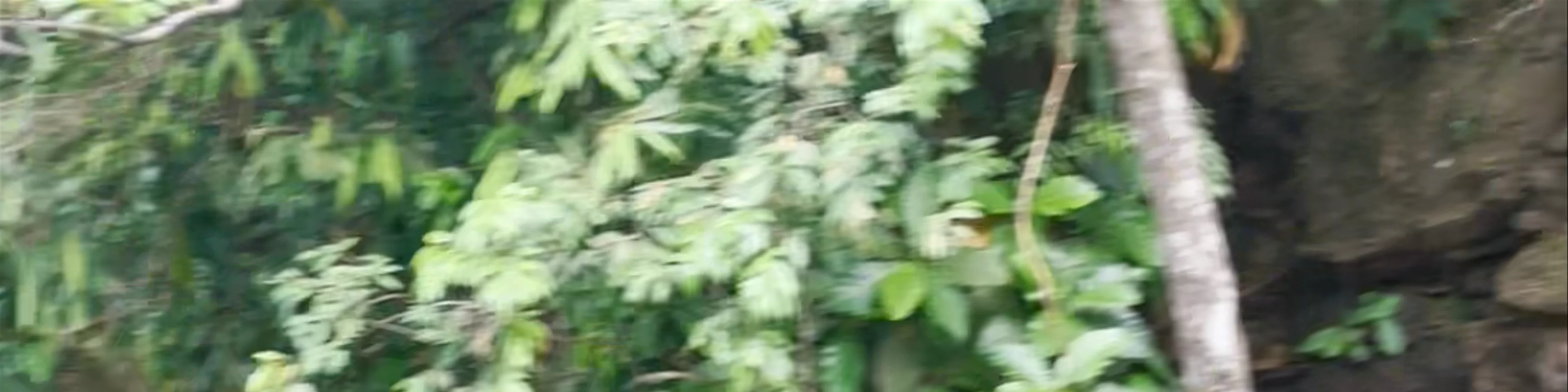 Suối Lương - Hai Van Park