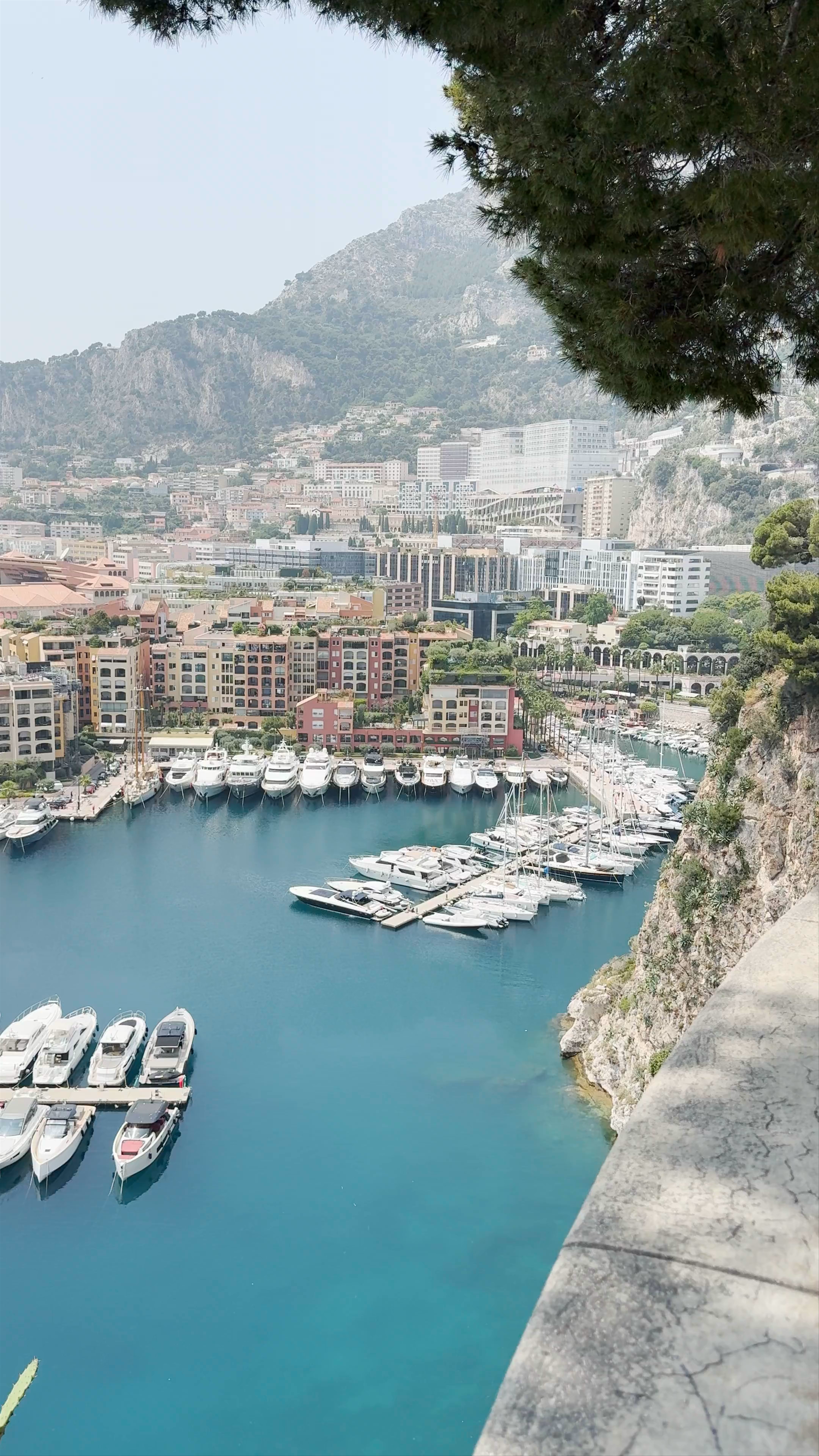 Point de Vue Port de Fontvieille