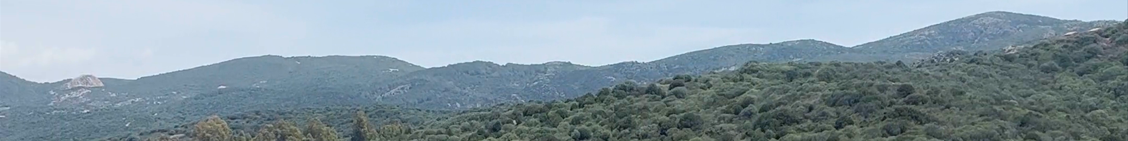 Tours & experiences in Italy