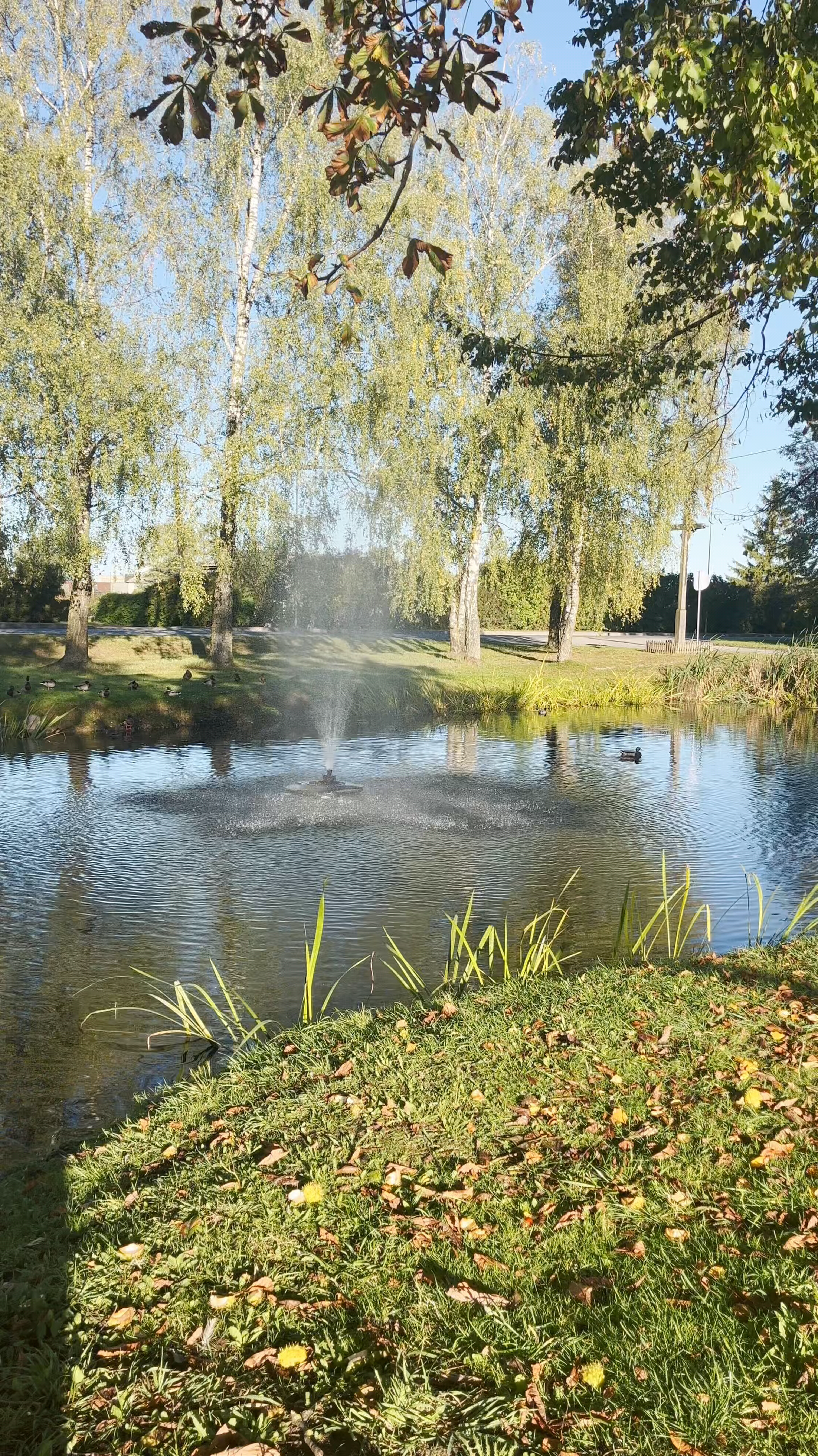 Varpo Street Fountain