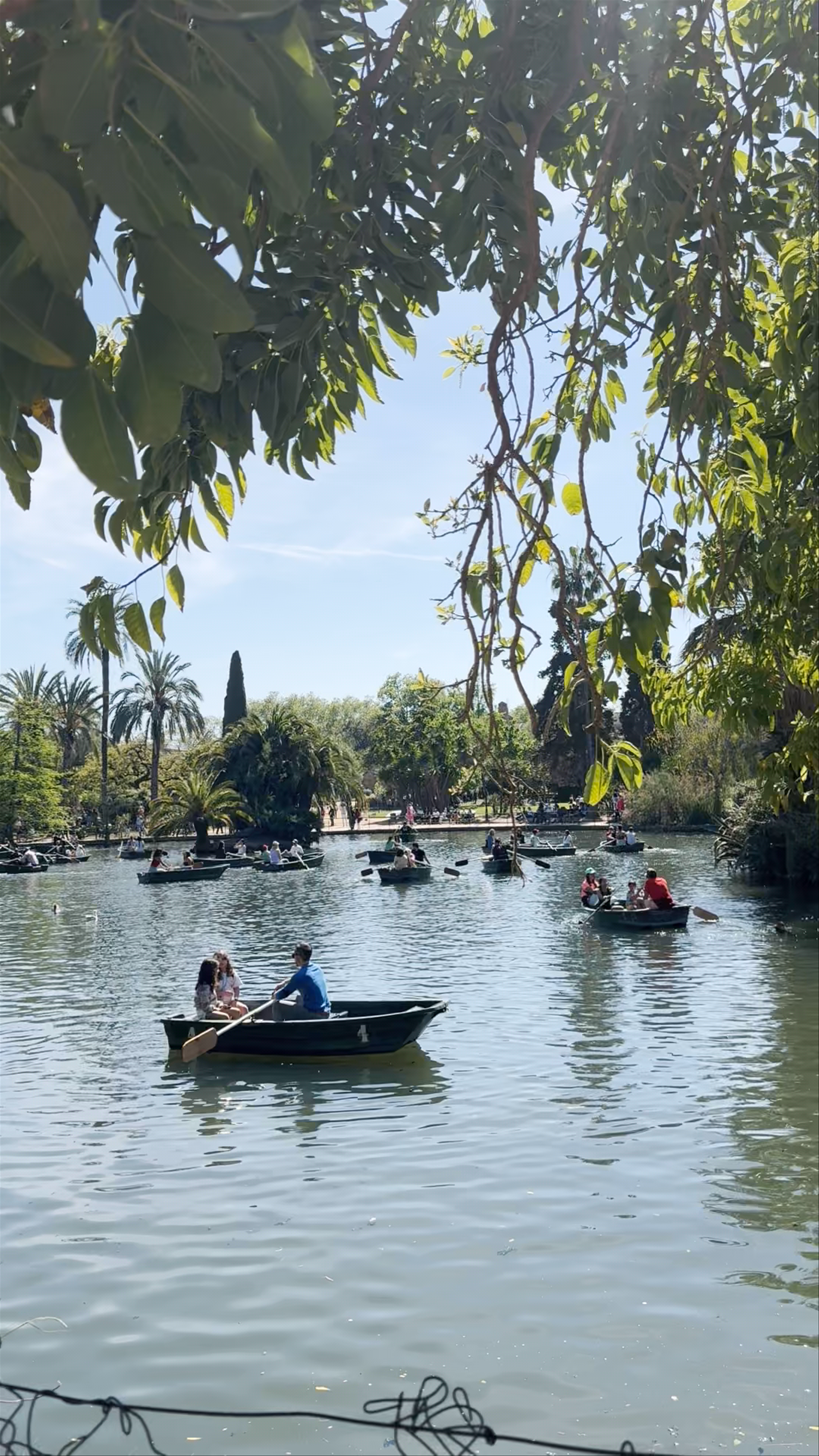 Sunny Day Rowing at Parque de la Ciutadella, Barcelona