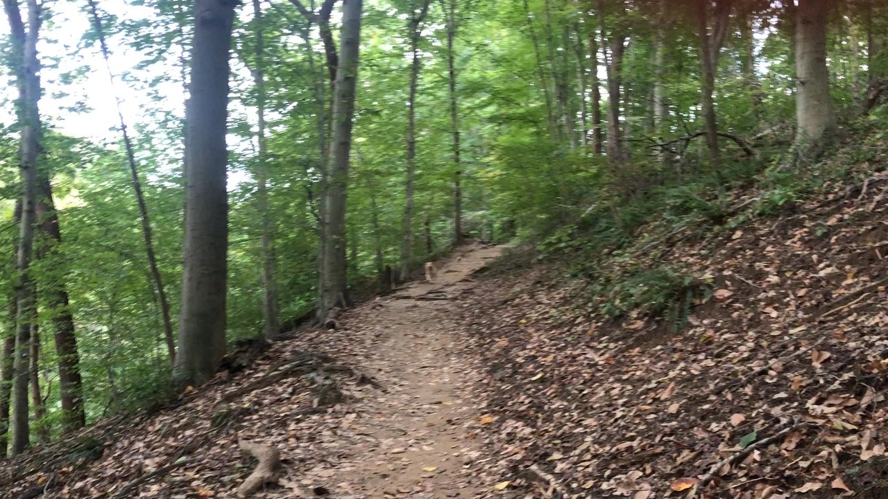 Melvin C Hazen Park - Parks Near Me - Washington, DC, District of Columbia