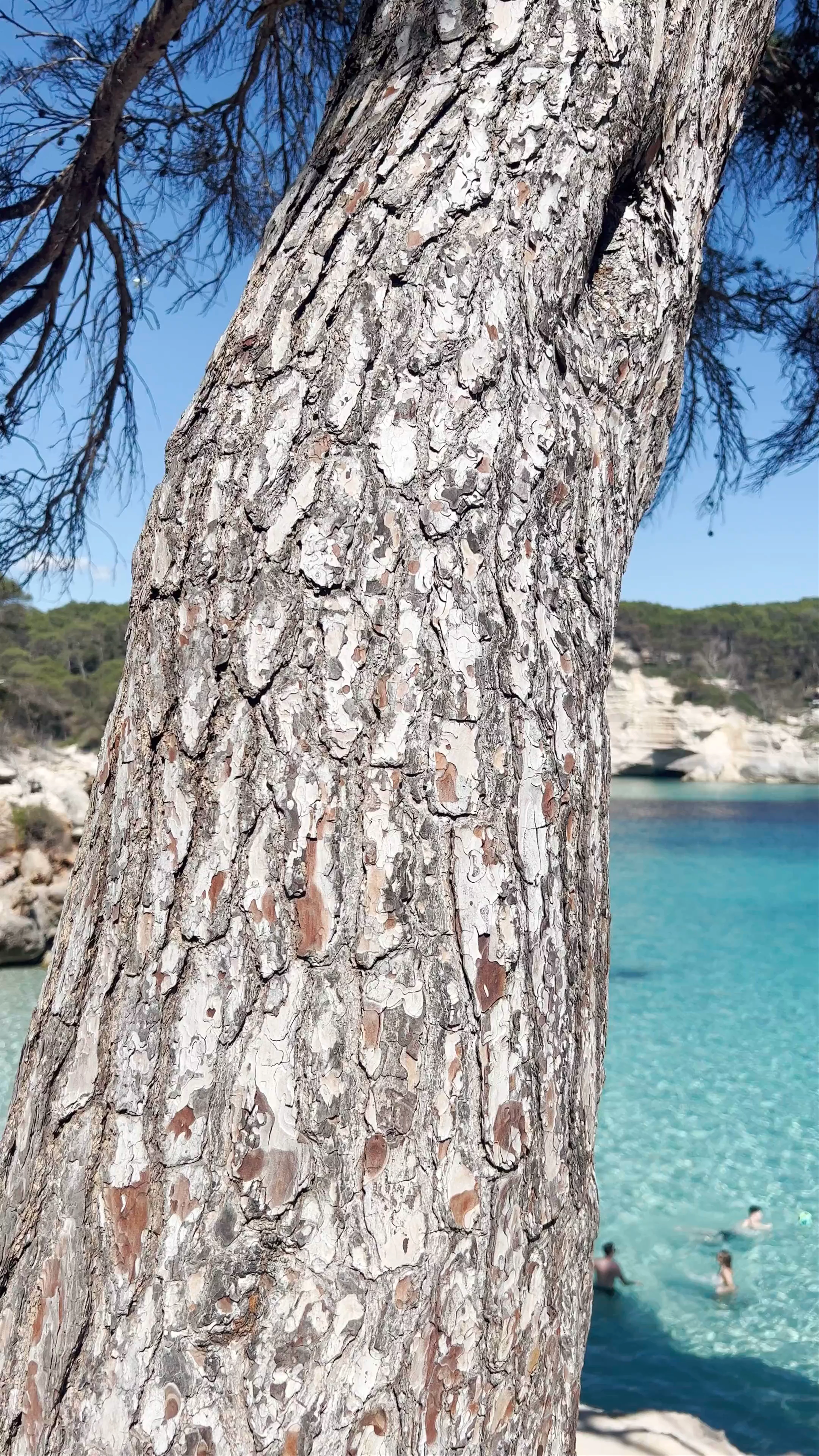 Cala Mitjana