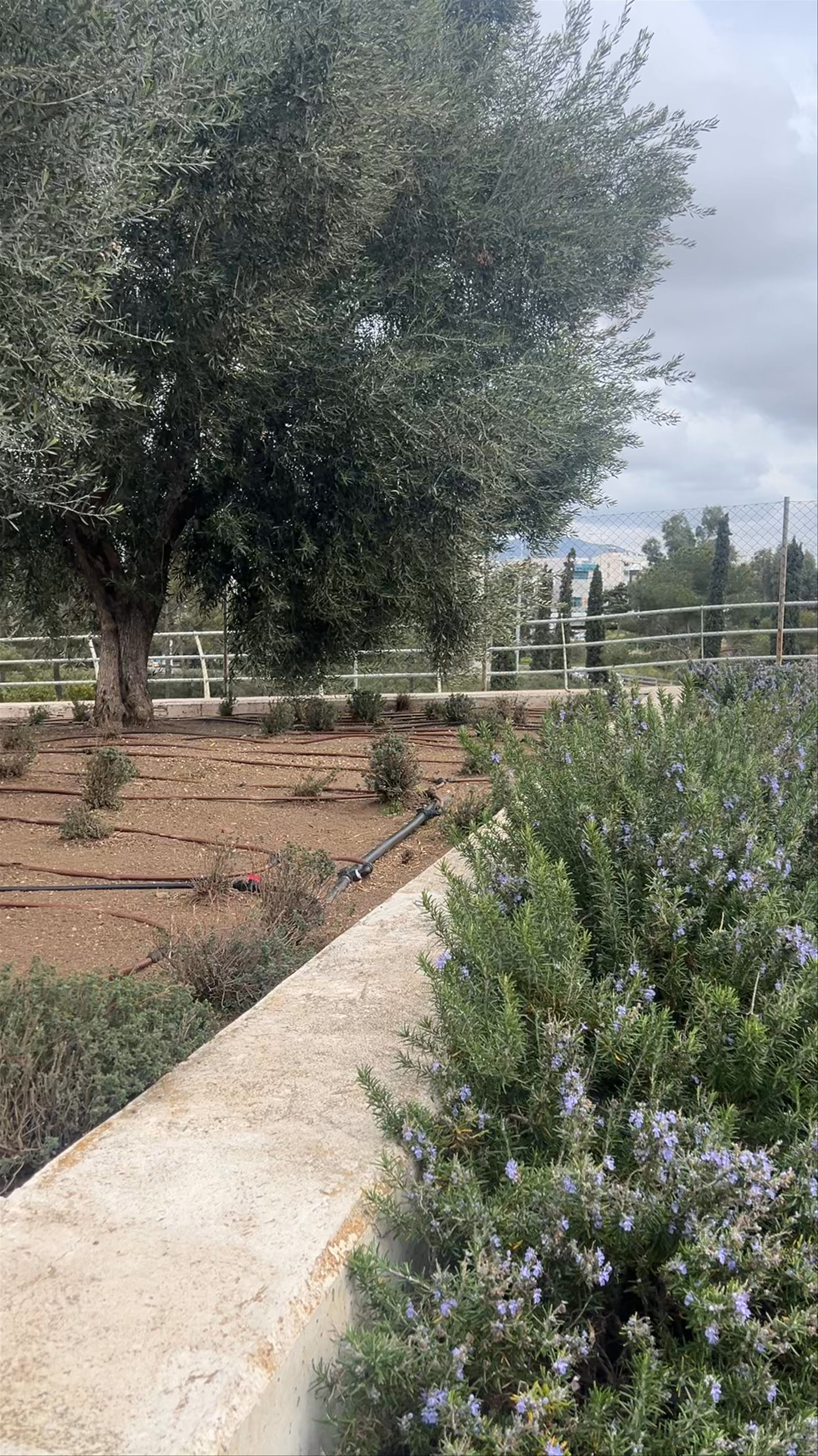 Stavros Niarchos Park