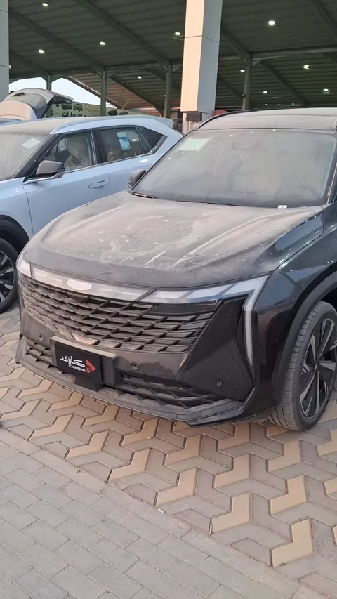 جيلي ستار راي gf plus 2024