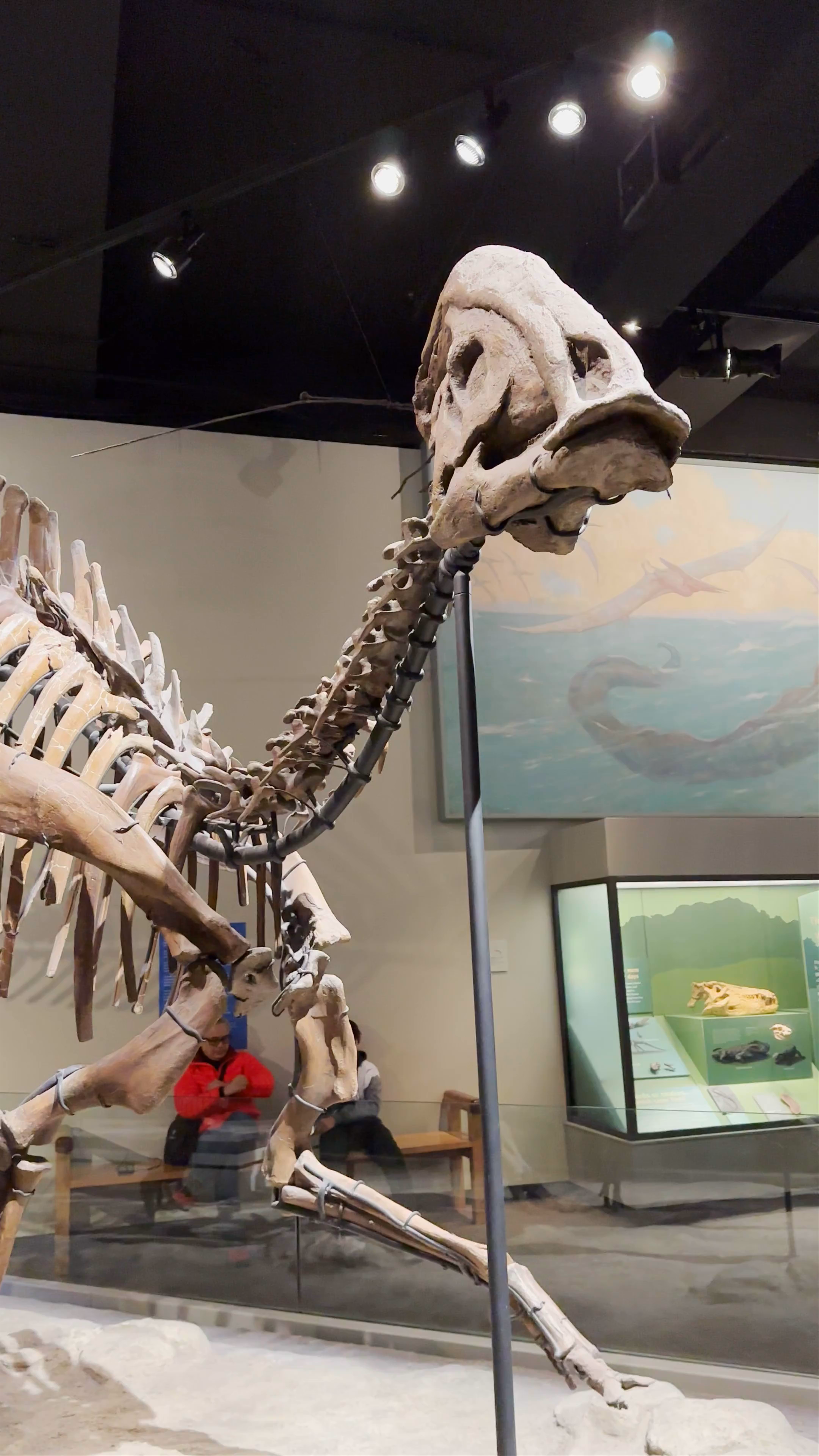 Field Museum