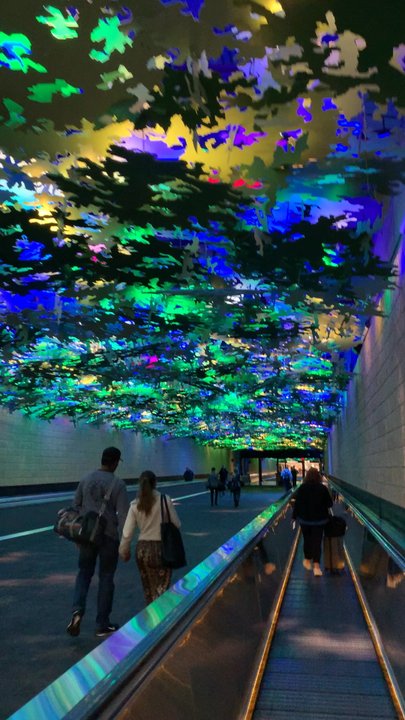 Concourse B - Nice jungle feel in between terminals - Airport Terminals Near Me - Atlanta, Georgia