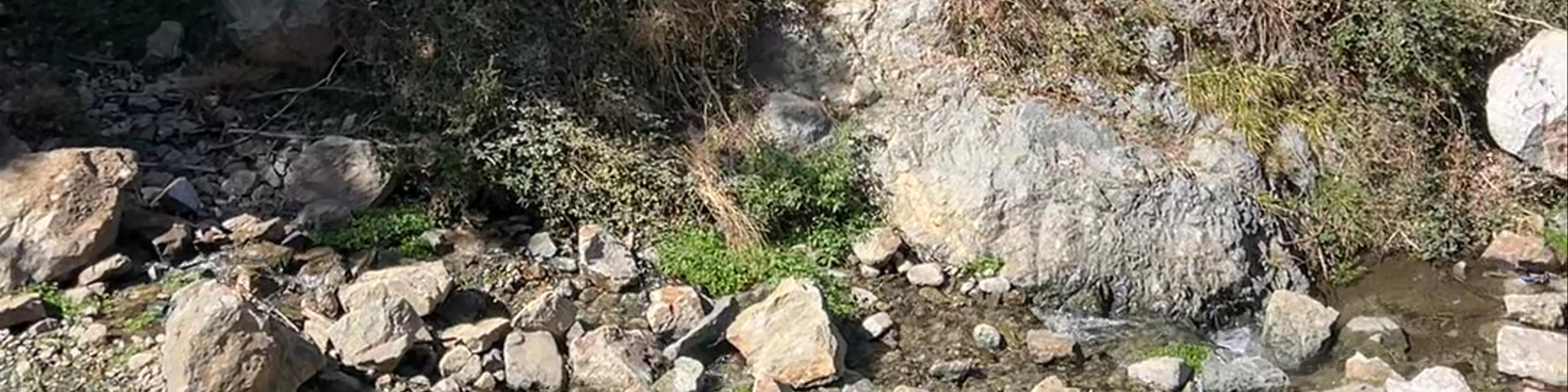 Ourika Valley