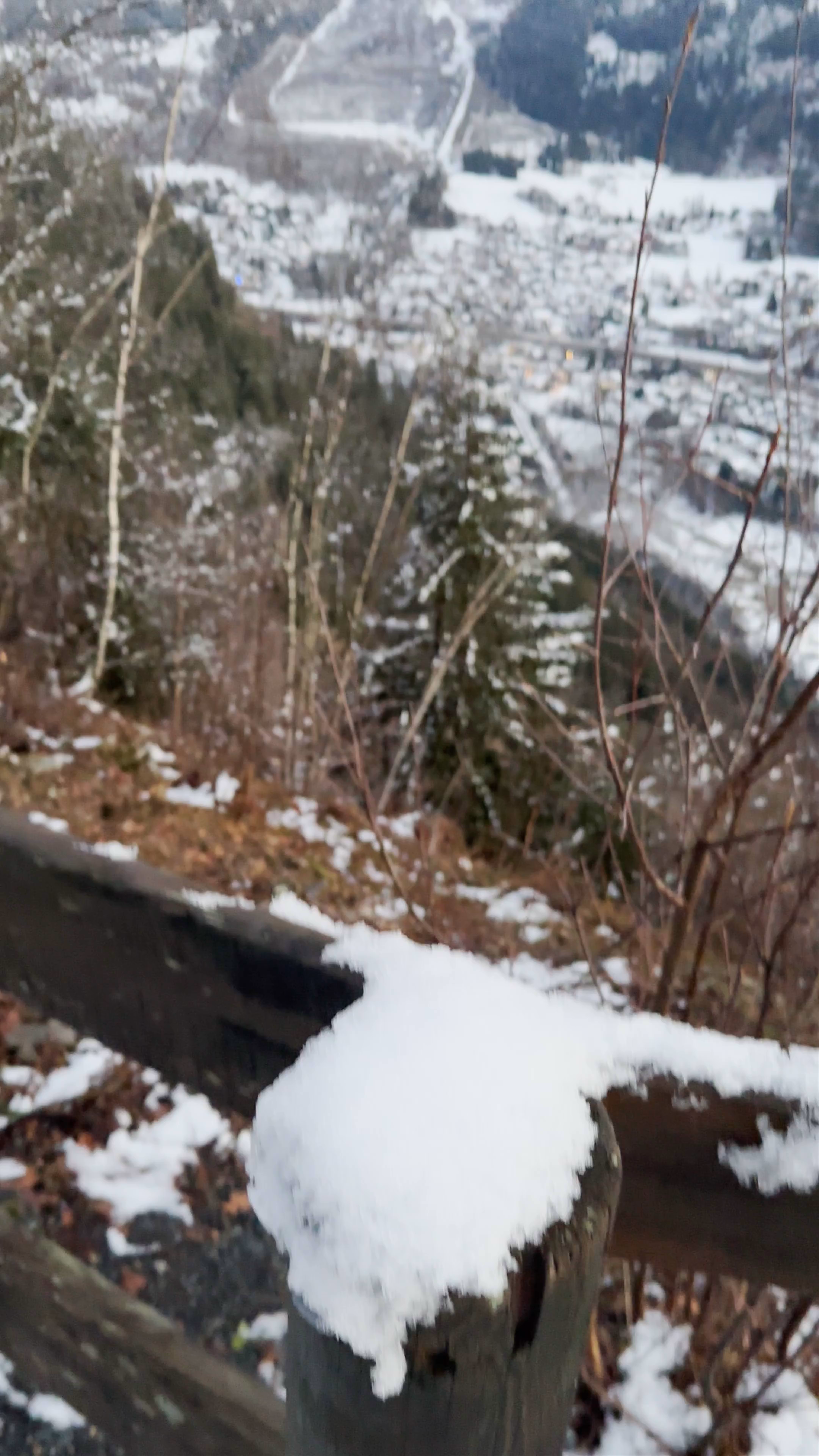 Point de vue Mont-Blanc et glacier des Bossons
