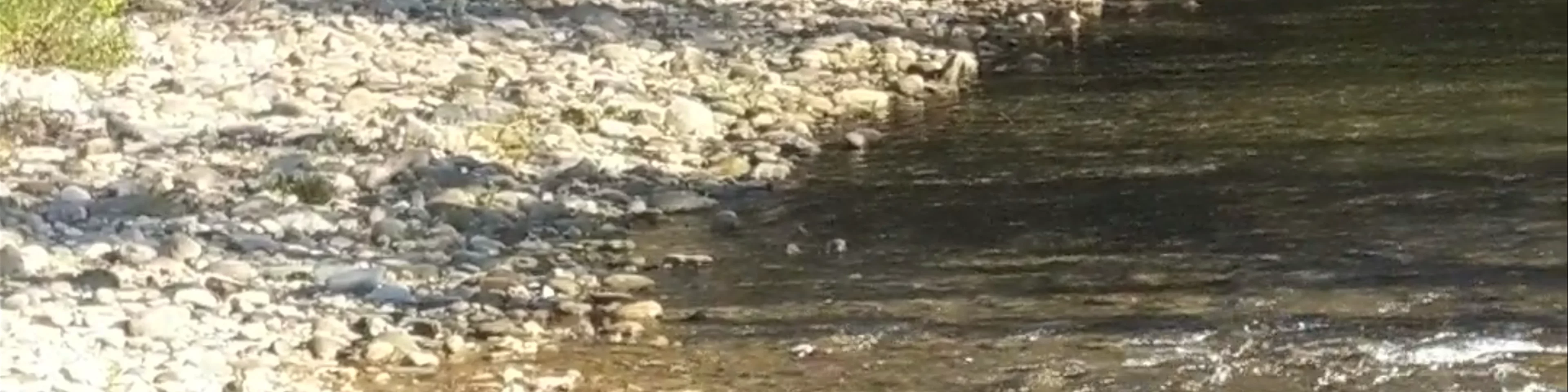 Buffalo National River Park