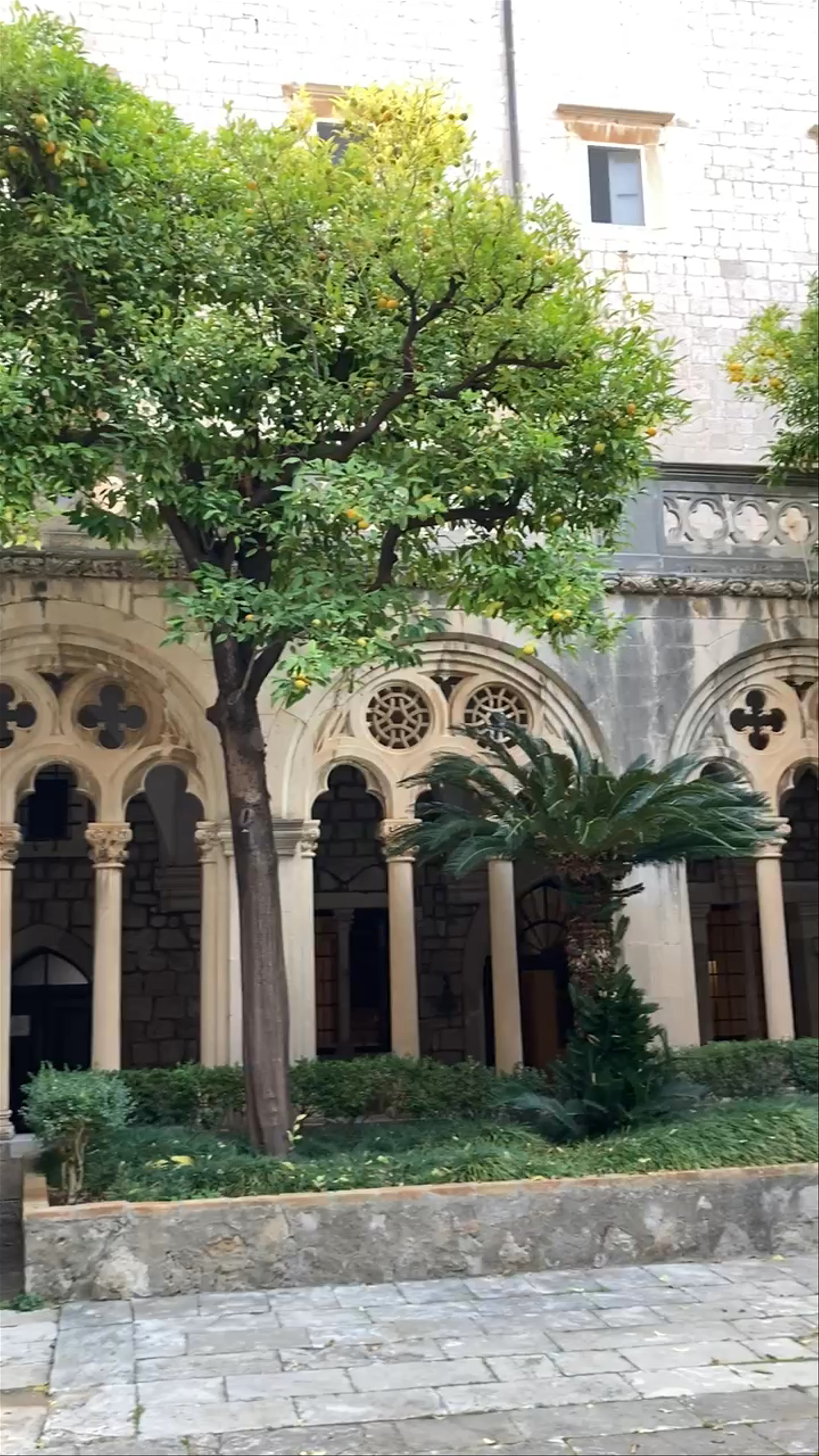 Dominican Monastery in Dubrovnik: A Serene Medieval Courtyard