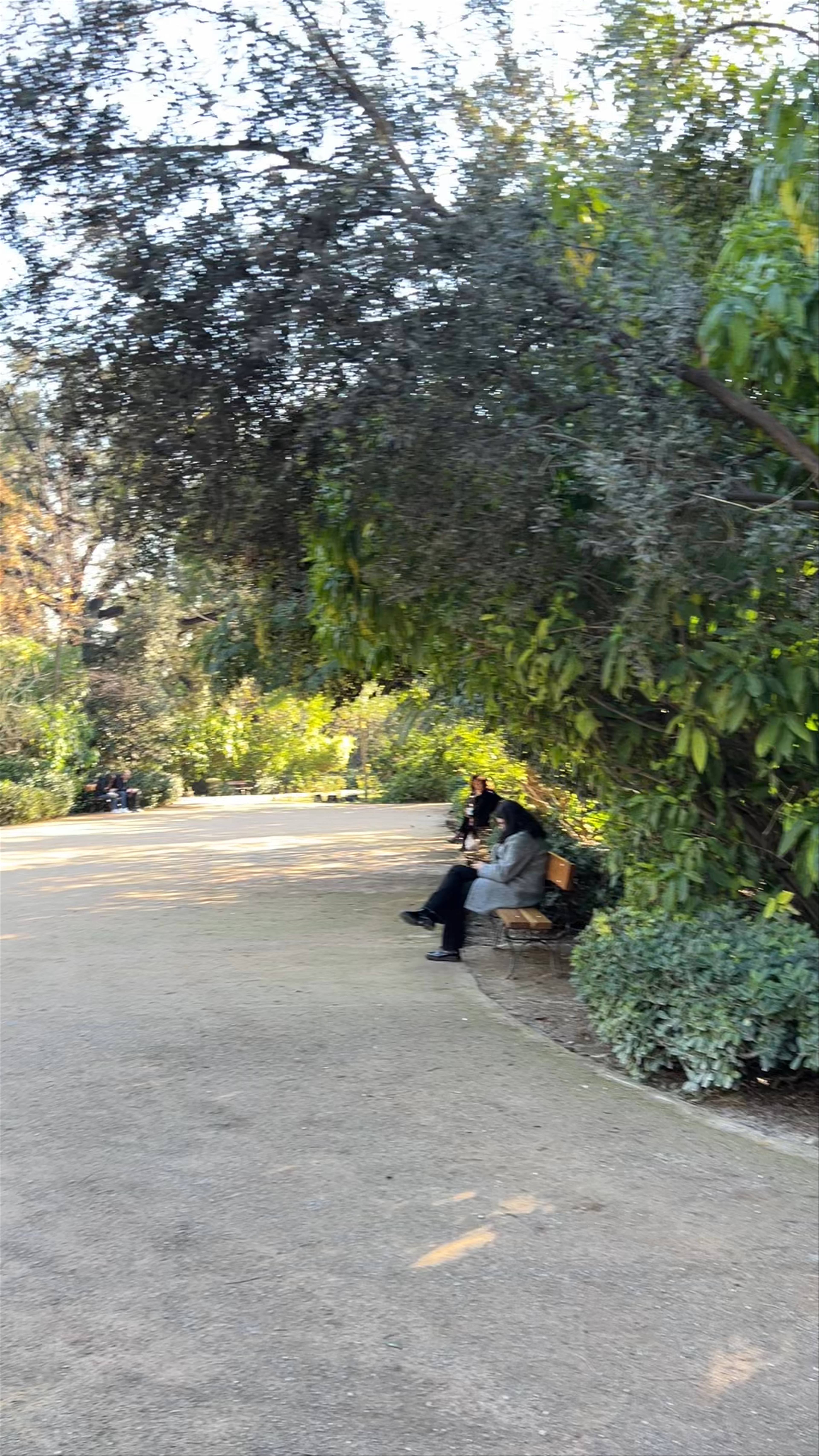 Εθνικός Κήπος