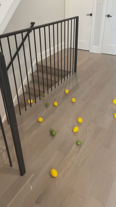 New Content - Having fun with lemons and new railing. - Metal Fabricators Near Me - Chicago, Illinois
