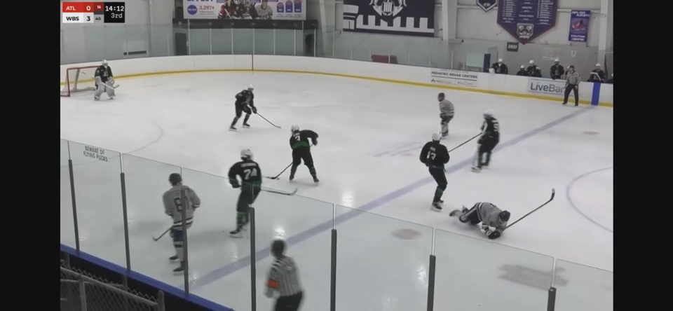 Hunter Pipe: Stellar Defensive Plays from the Blue Line