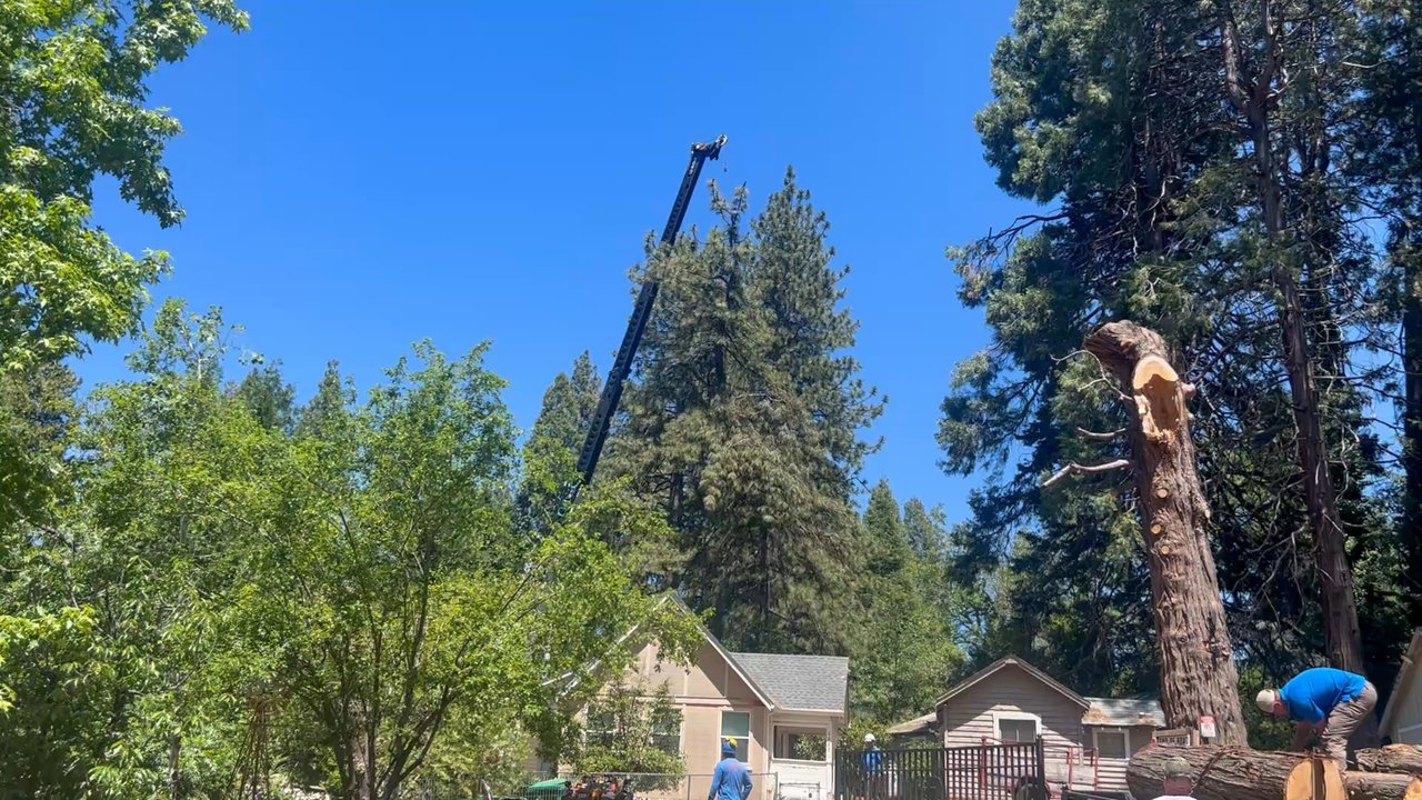 Daniel Hovarter Tree Service - Tree Services Near Me - Placerville, California