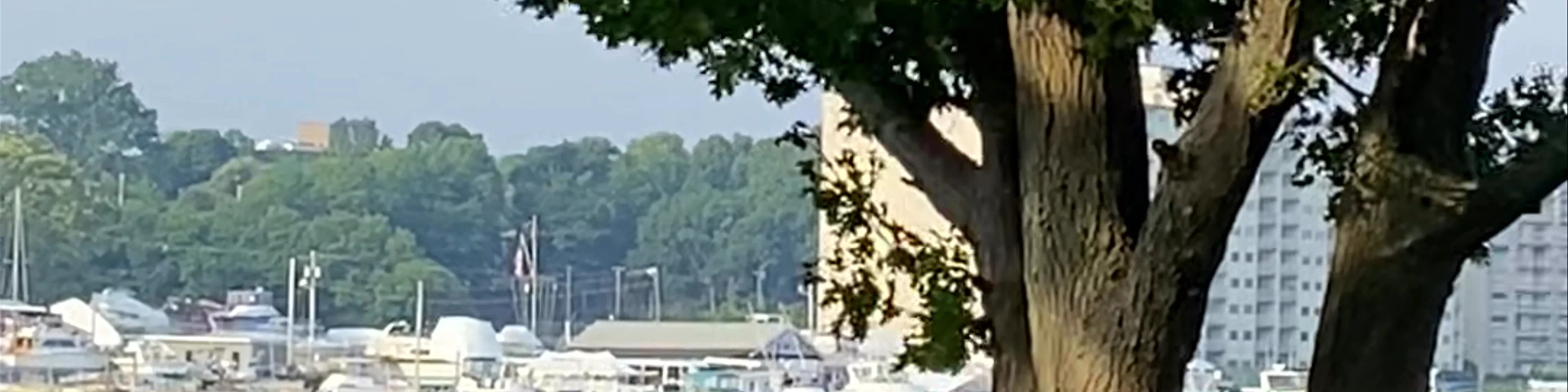 Town River Yacht Club
