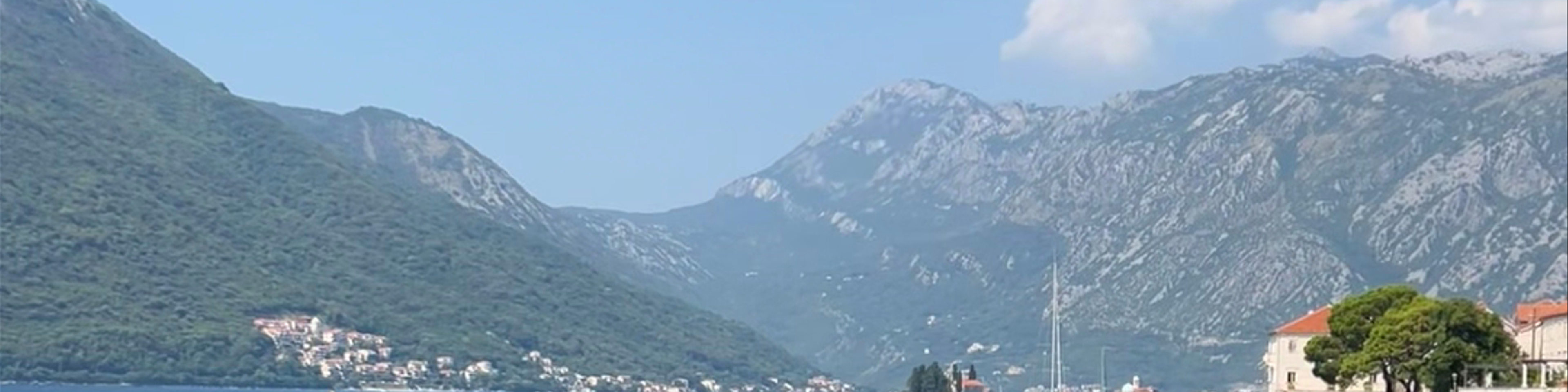 Kotor