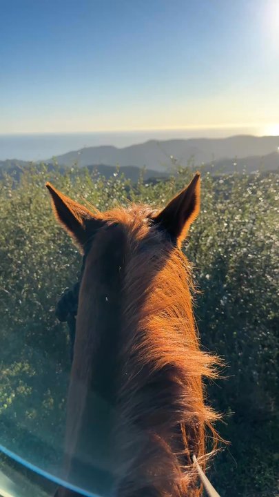 High Horse Malibu - Horseback Riding Near Me - Malibu, California