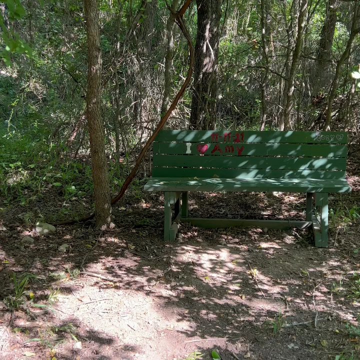 Inga's Trail - The forest is growing  also don't mind the end. I ran into a spider web - Hiking Near Me - Austin, Texas