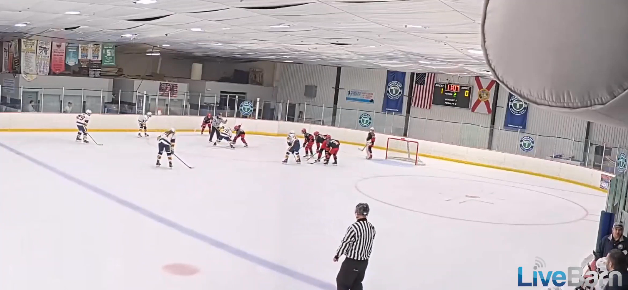 Justin Croney's Game-Tying One-Timer vs 14AA Carolina Jr Canes| Florida Bulldogs 14U AA Highlights