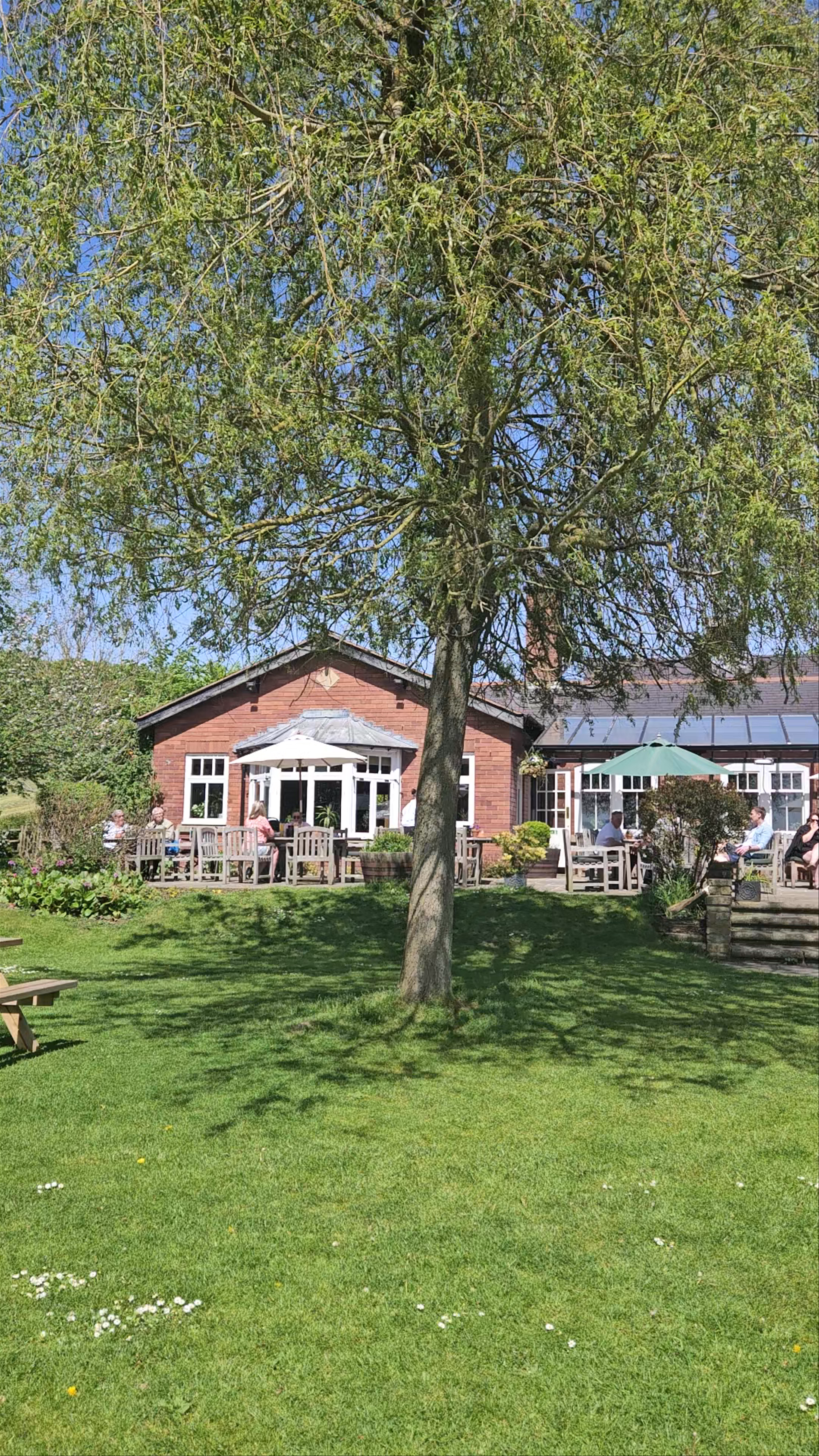 Sunny Afternoon at Glasfryn Pub Garden in Mold, Wales