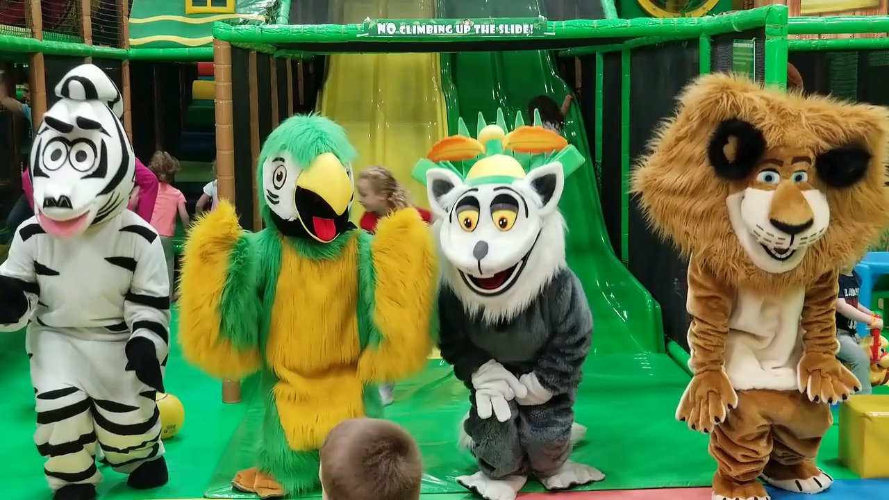 Jungle Land - Indoor Playcenter Near Me - Vaughan, Ontario