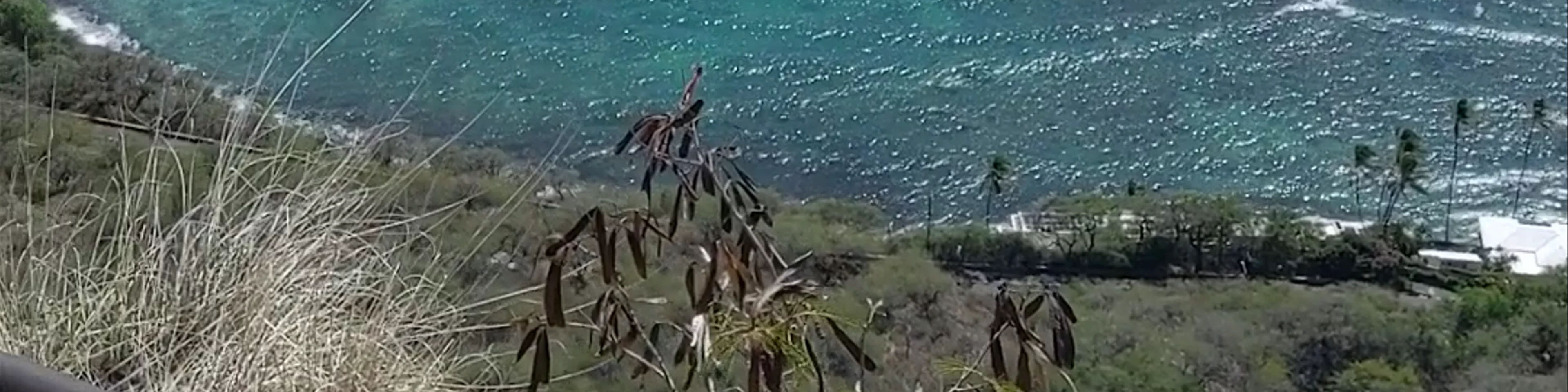 Diamond Head Crater Hike