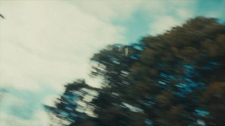 Contact Background Preview