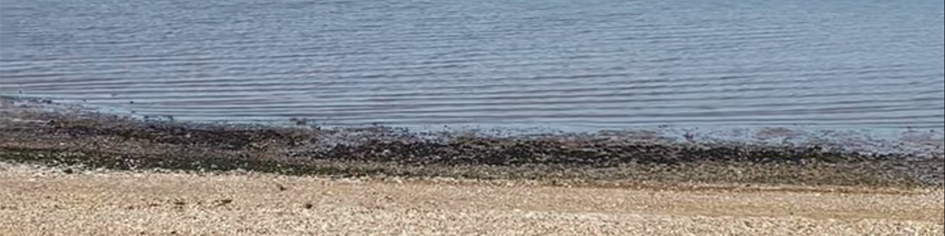 Herne Bay