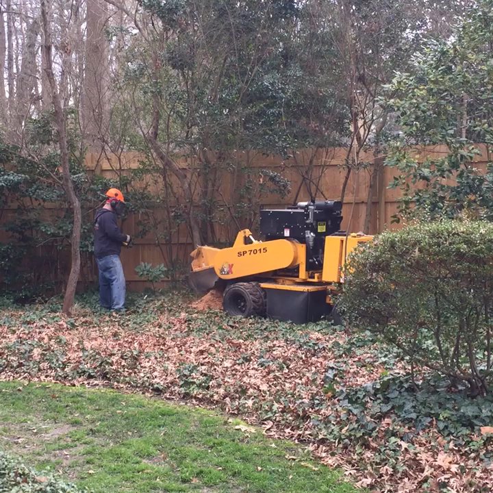Bishops Tree Service - Remote control - Tree Services Near Me - Virginia Beach, Virginia