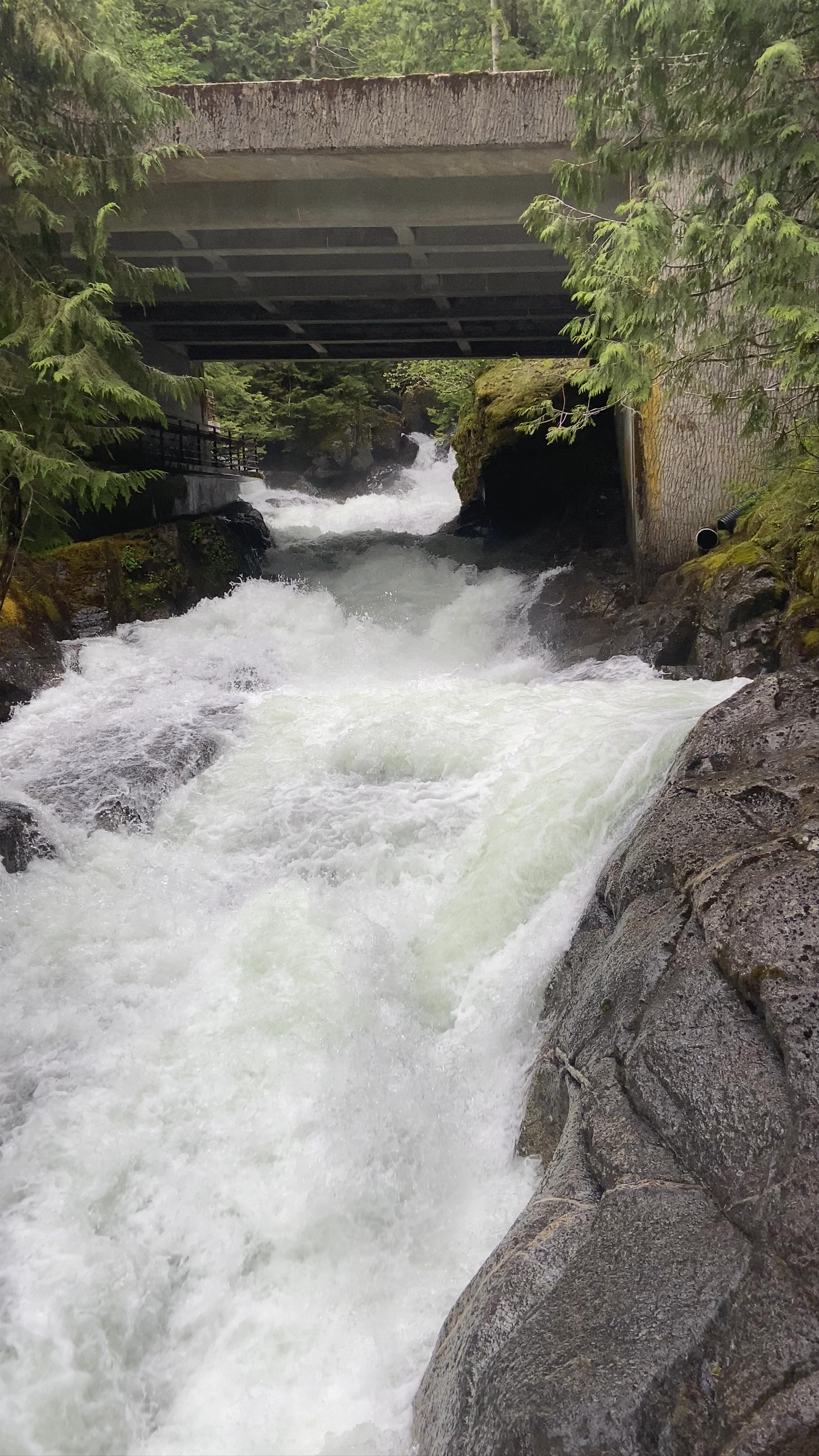 Deception Falls Hike: Thunderous Rapids Amidst Lush Washington Forest