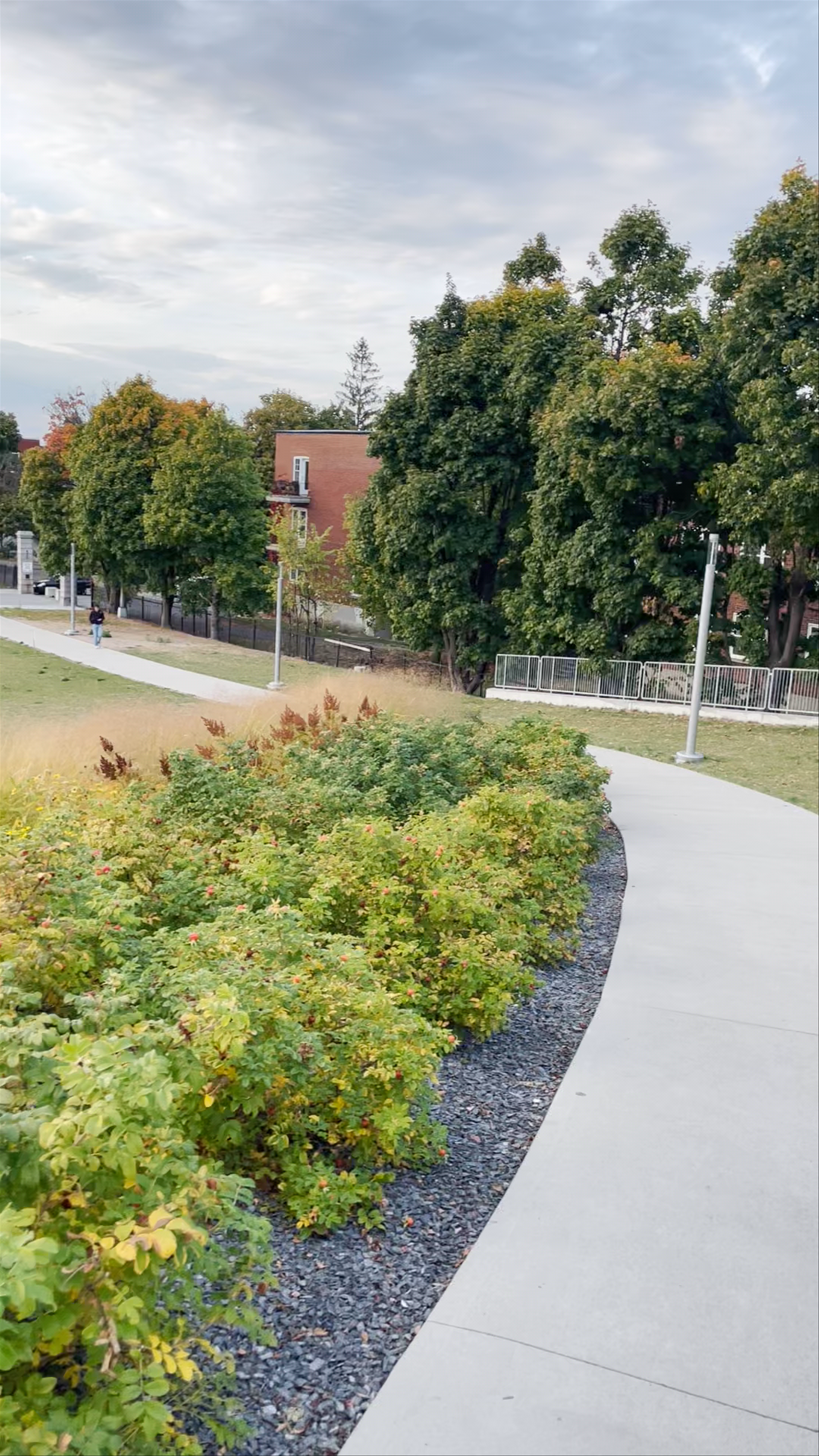 Saint Joseph's Oratory of Mount Royal