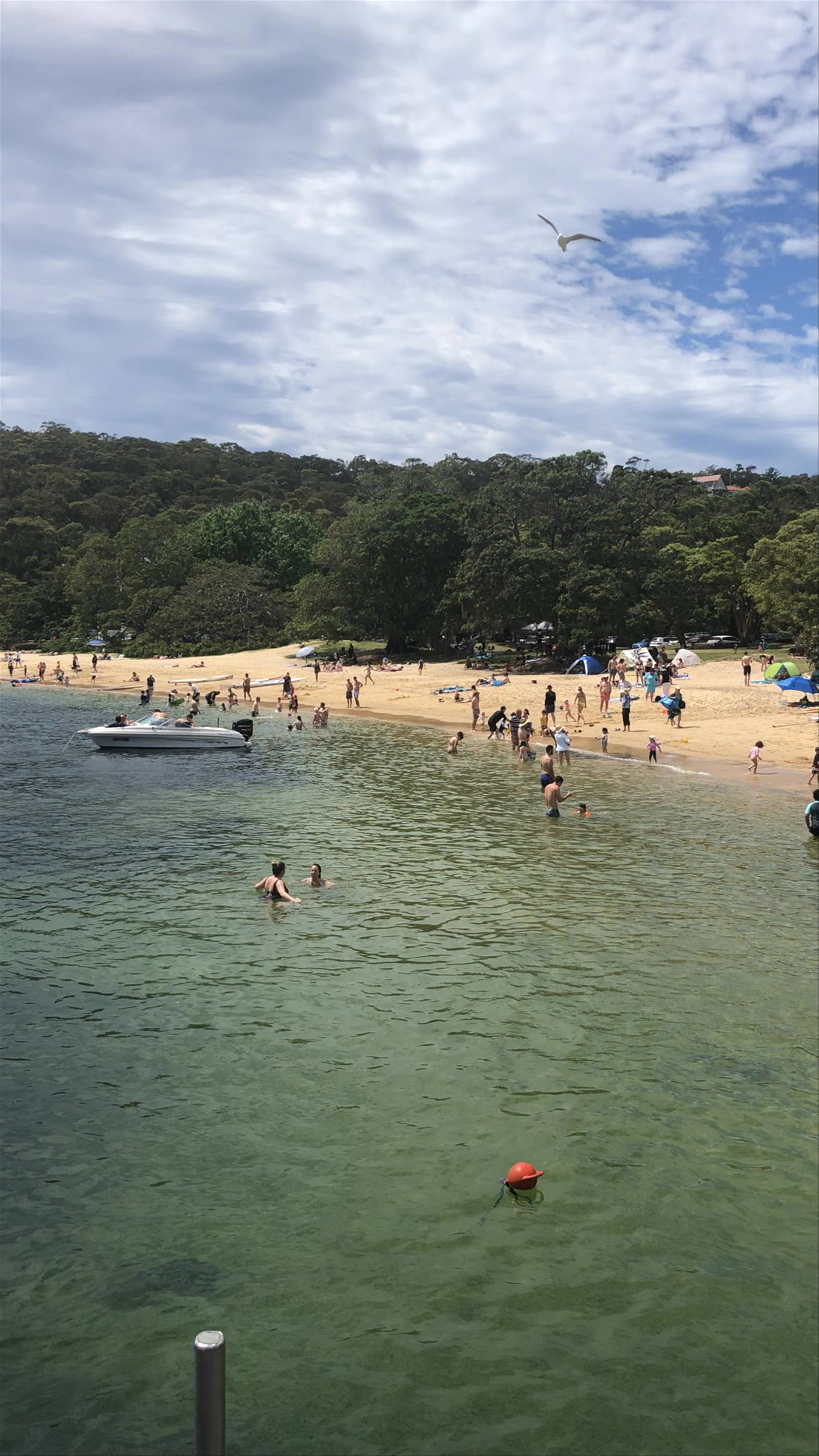Balmoral Beach: Sunny Seaside Escape in New South Wales