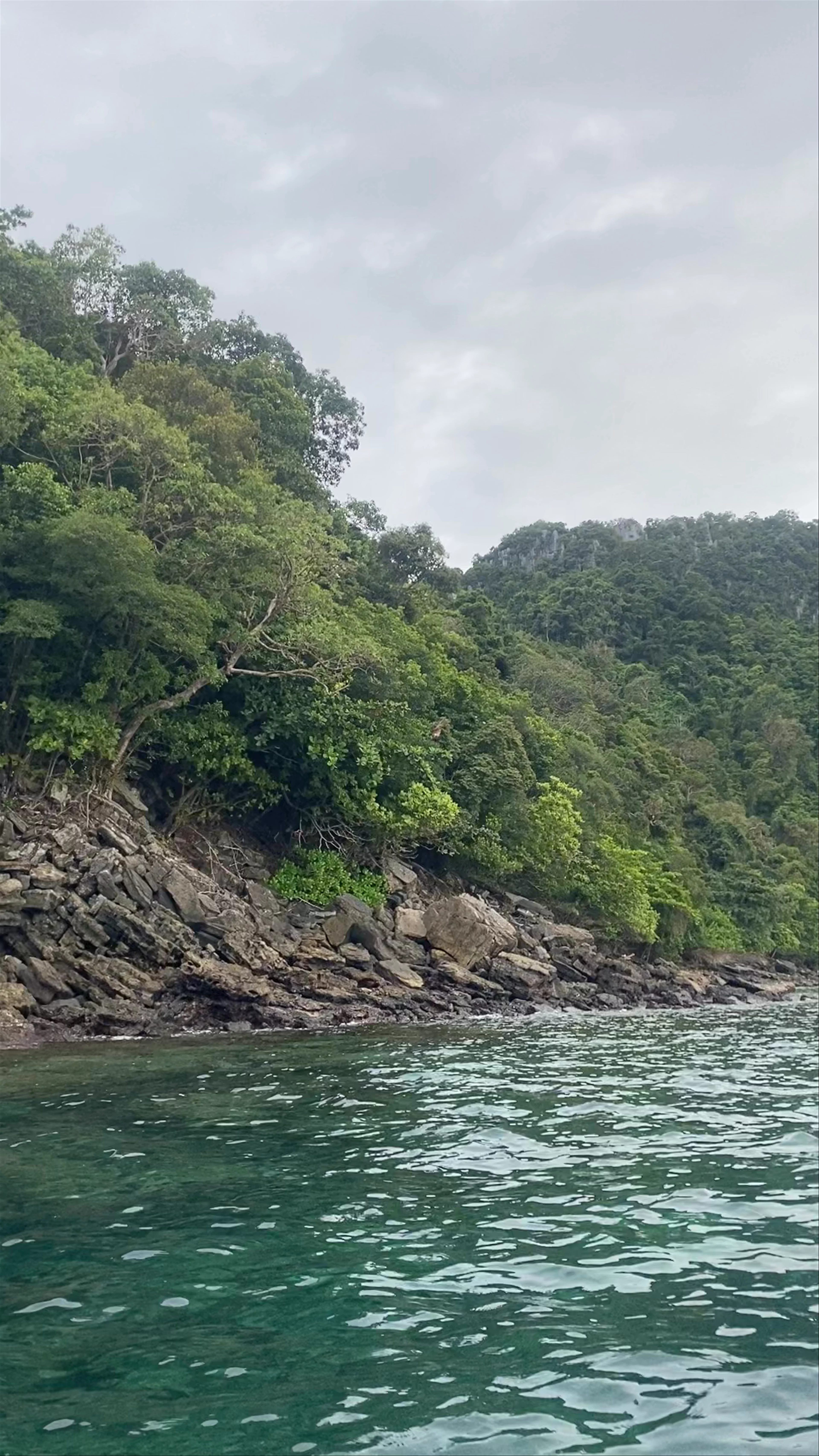 Monkey Beach
