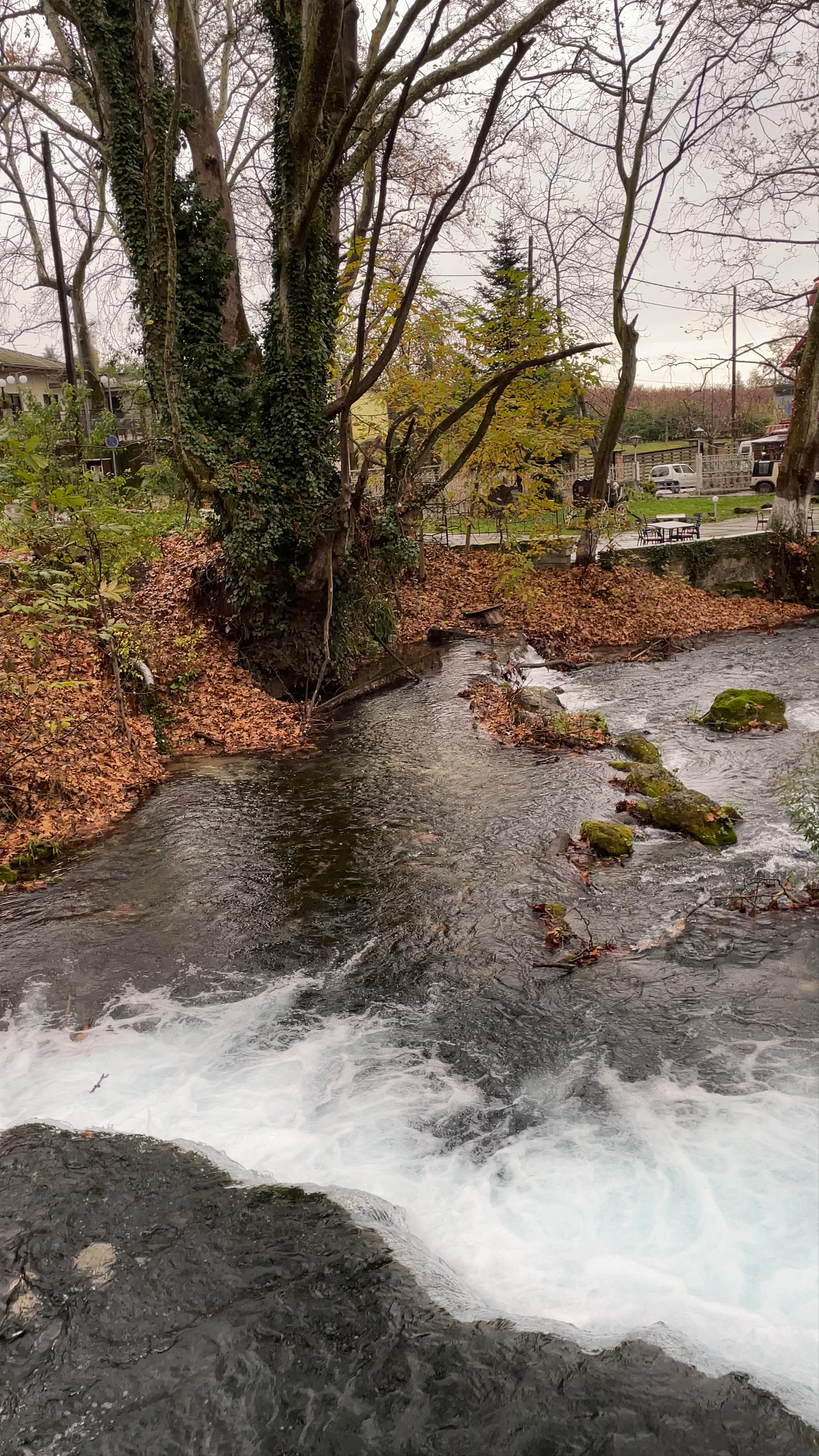 Autumn Serenity at Agios Nikolaos Park in Naousa, Greece