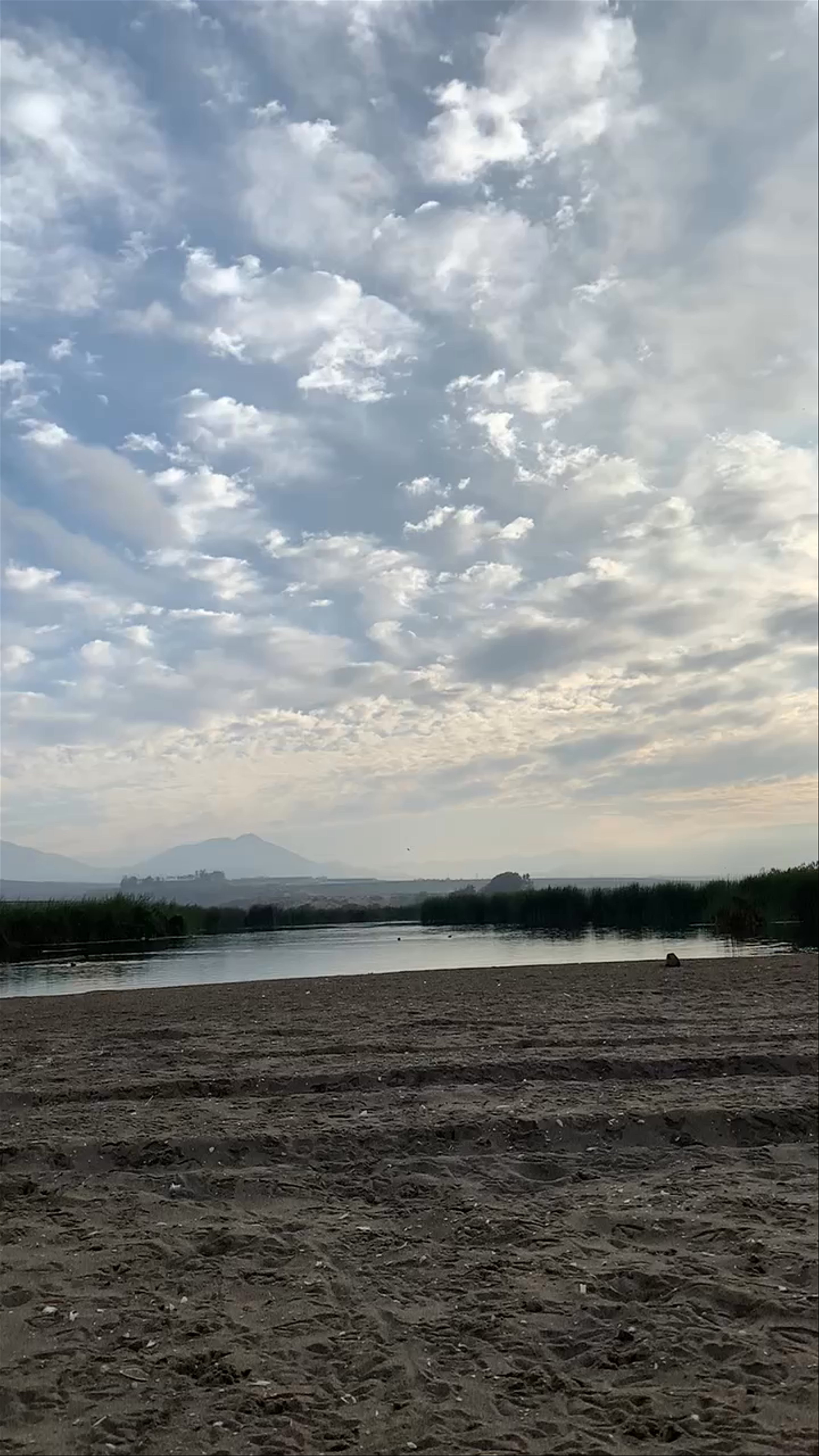 Punta Teatinos Humedal - Punta de Teatinos