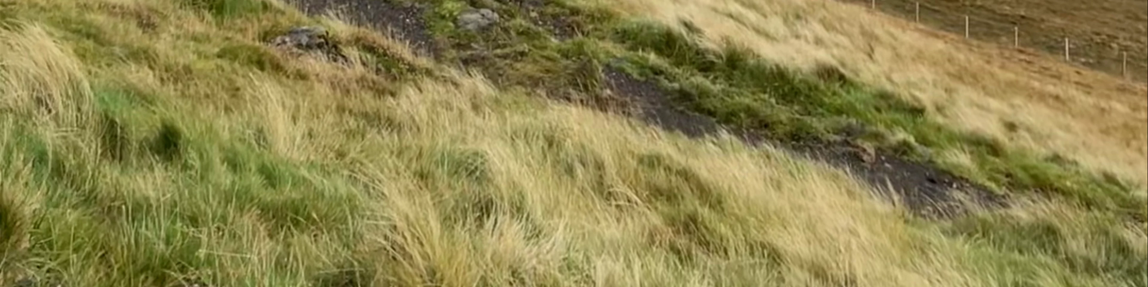 Old Man of Storr